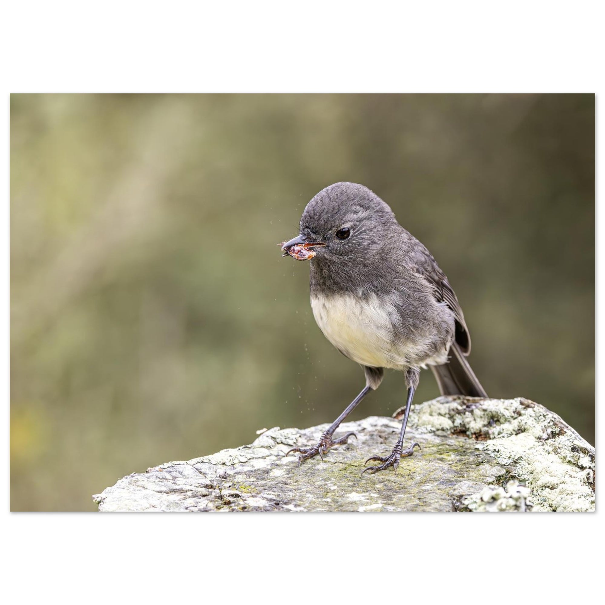 02debbec-cb61-403c-8ce4-ddaa81f21c49