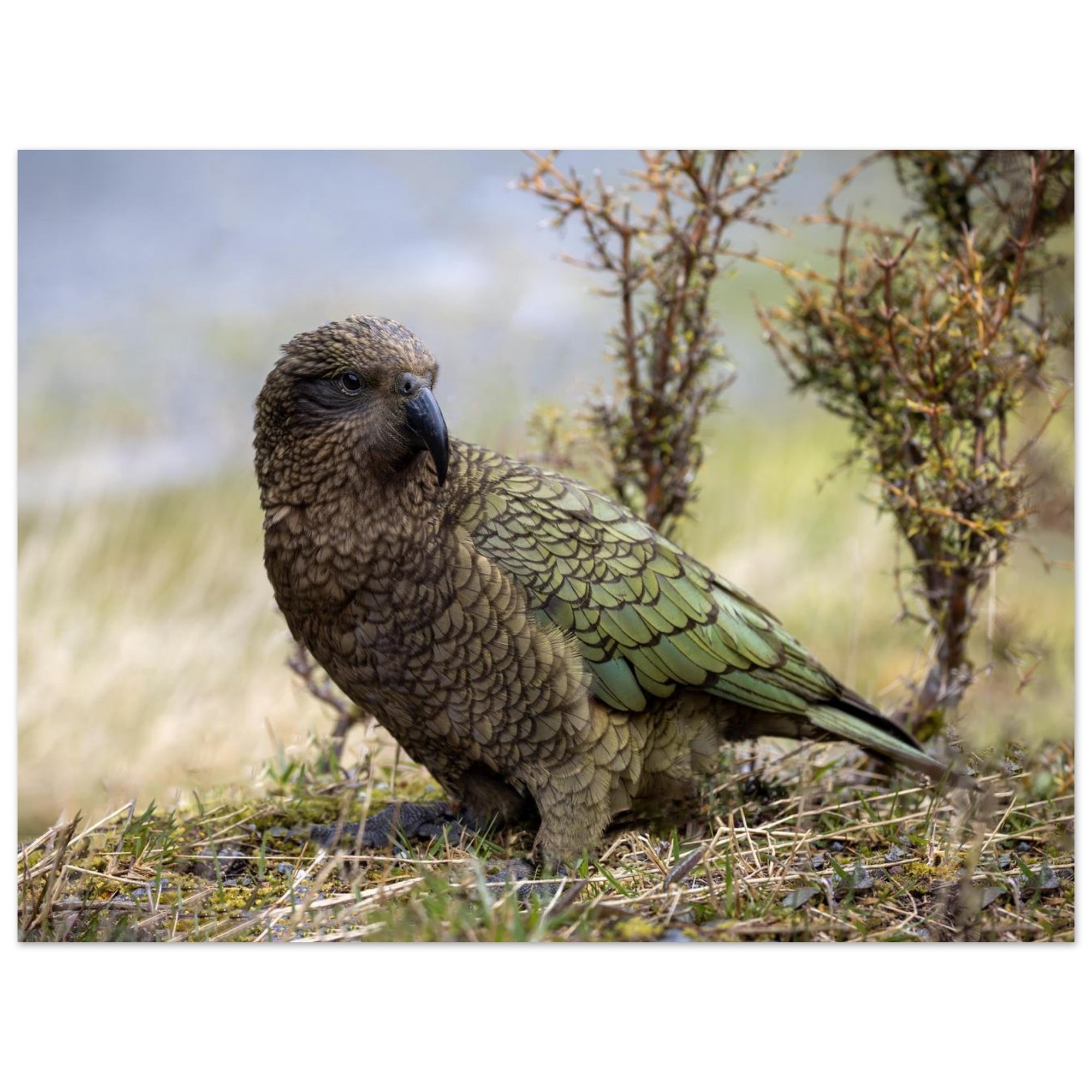 0564a3e7-fe7c-4075-89d4-f1791e57d412