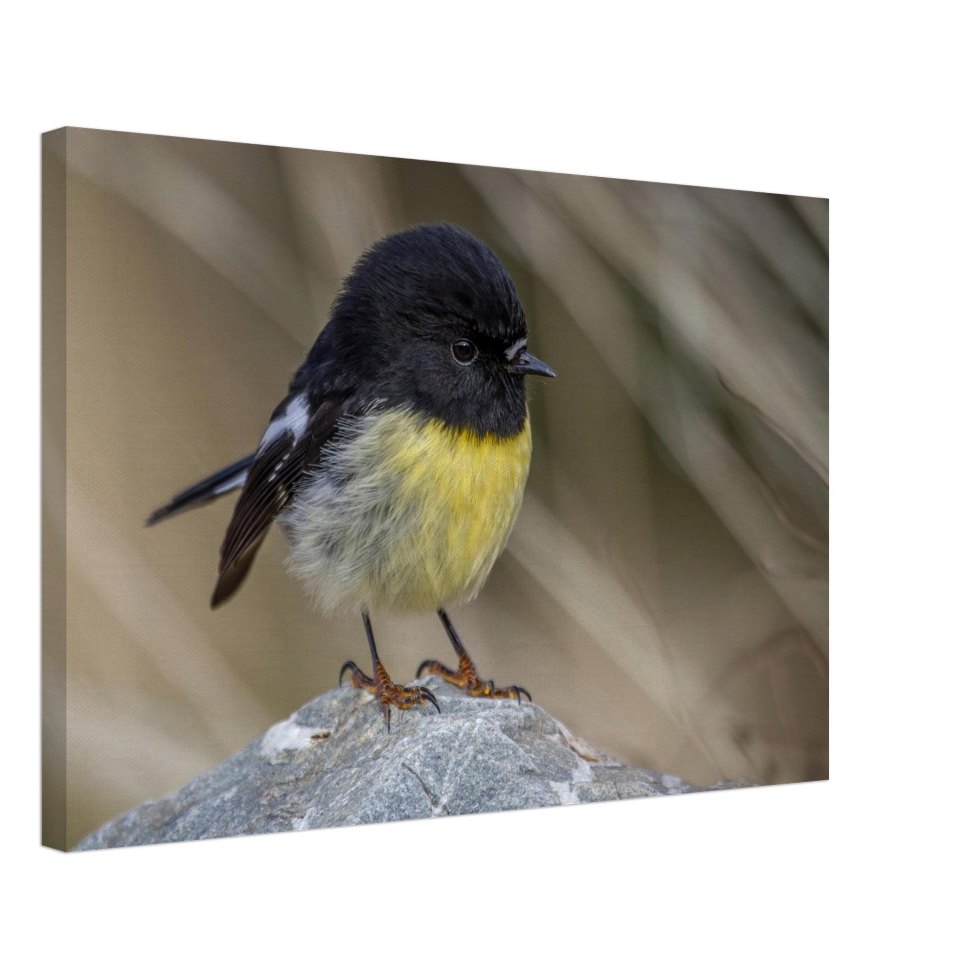 07e48e2d-0410-47fb-9a57-abe3f818b28e