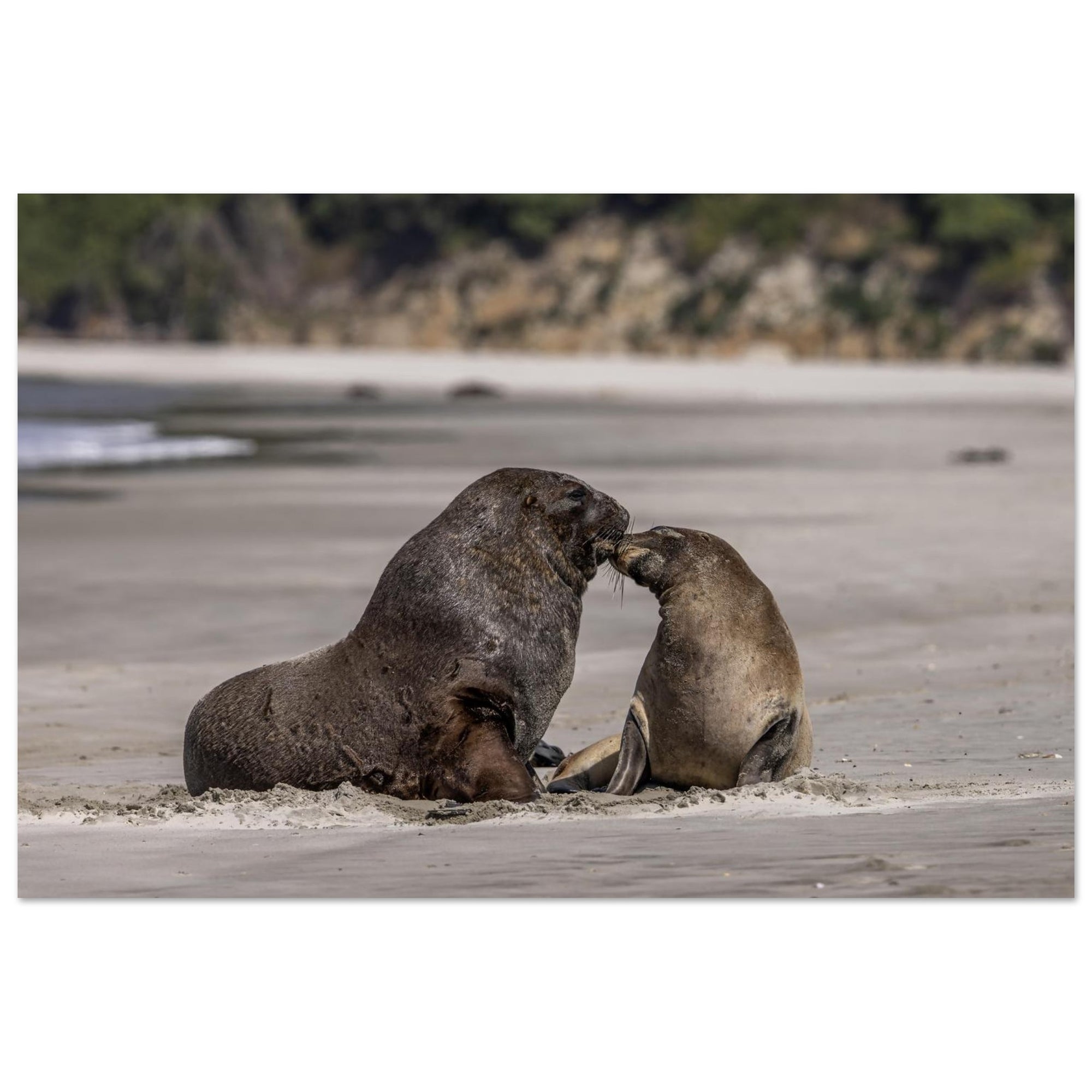 08152051-7ccb-429d-92a5-35bdf30612fa