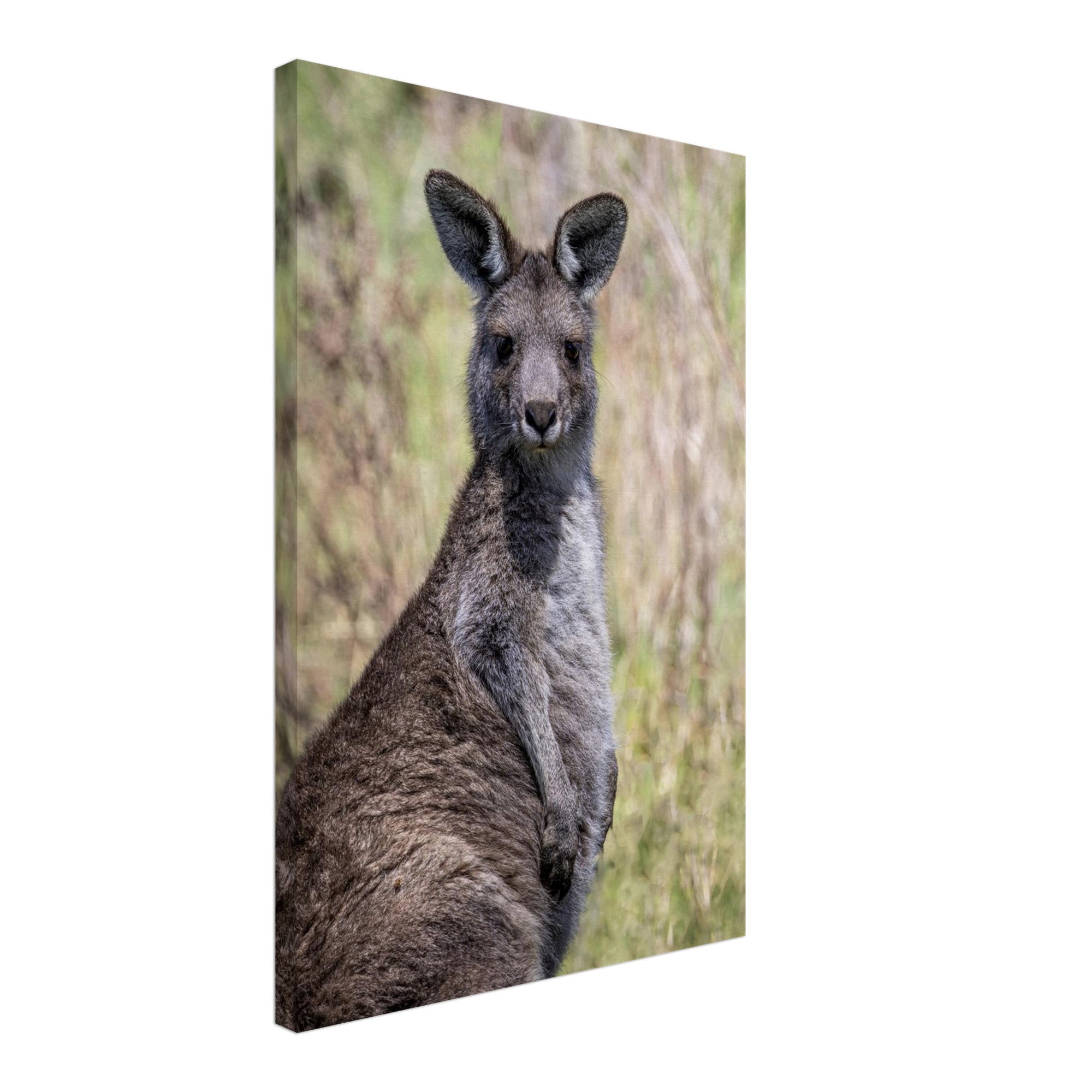 08363354-825f-4dce-bc00-5fc5b50cd0c8