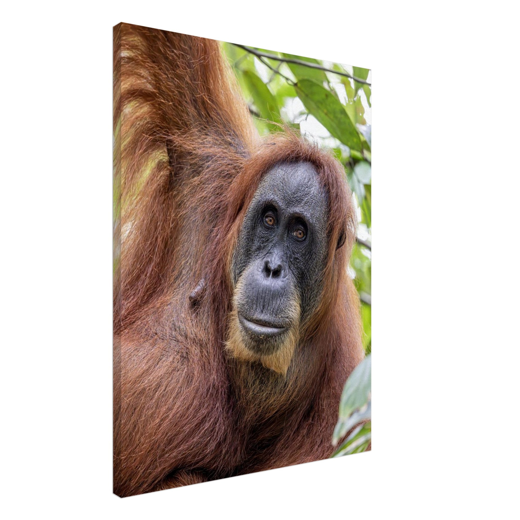 091fcd58-0103-4c25-ba98-c4c97e843b2d