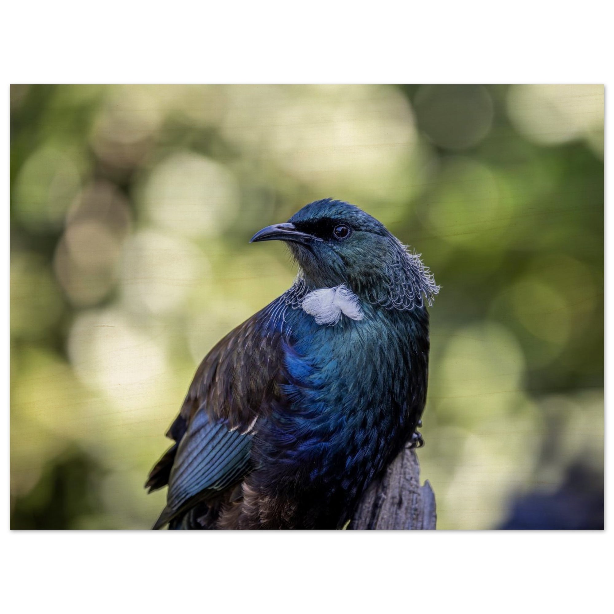 0a2400c7-57ae-45fc-a3b2-08fbadb3c461