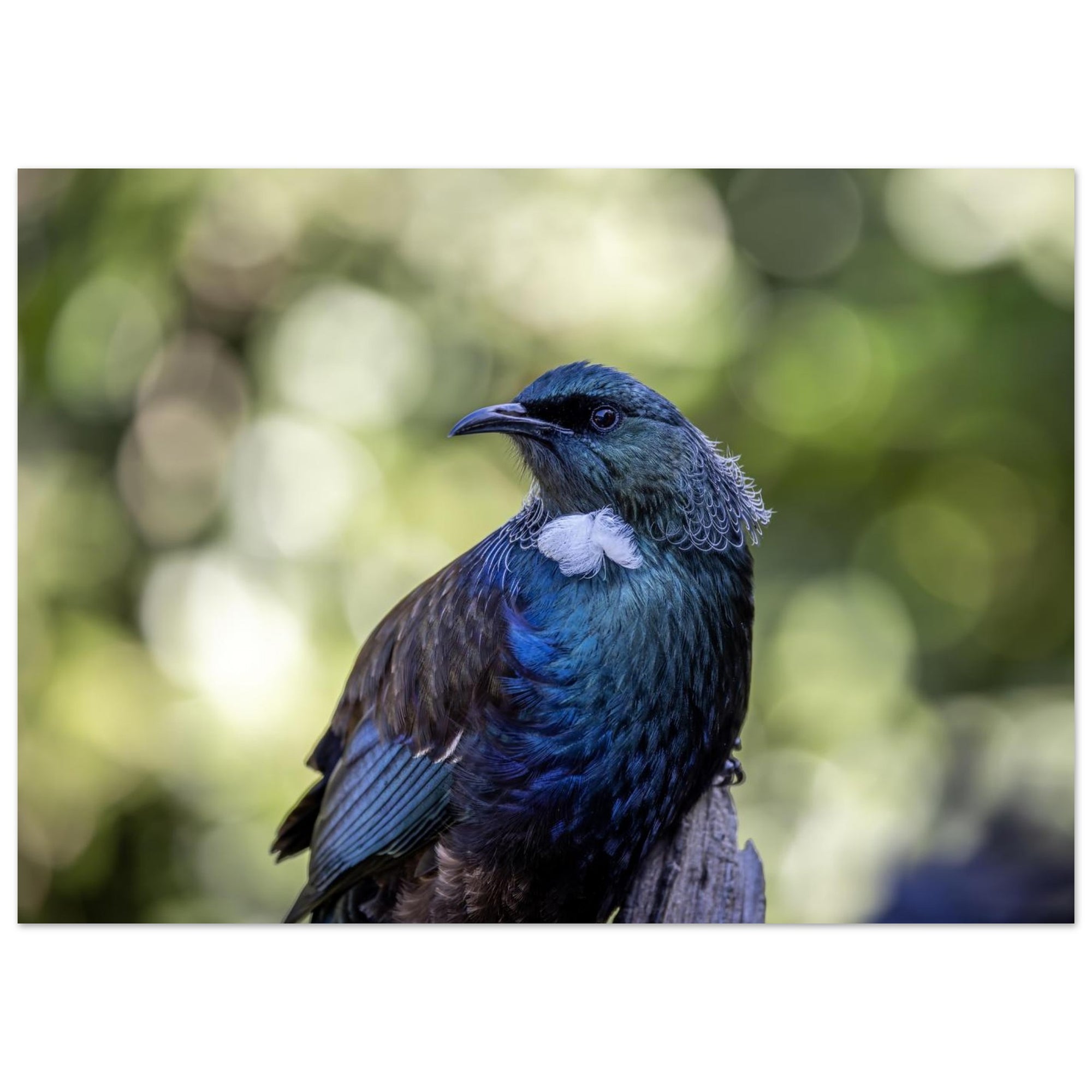 0aa94a0c-65d7-4c7b-bf27-43ac1d476715