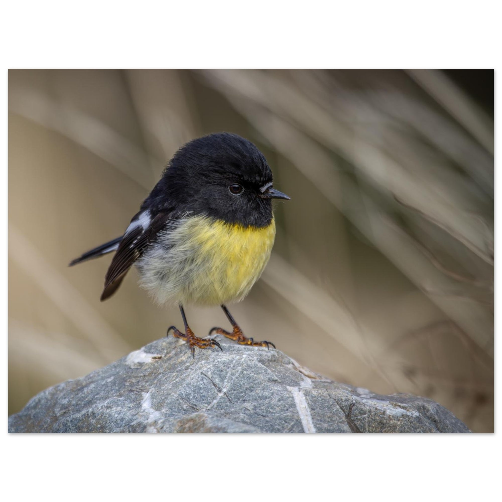 0b318e84-4c2f-44a0-bf91-790efdaec403