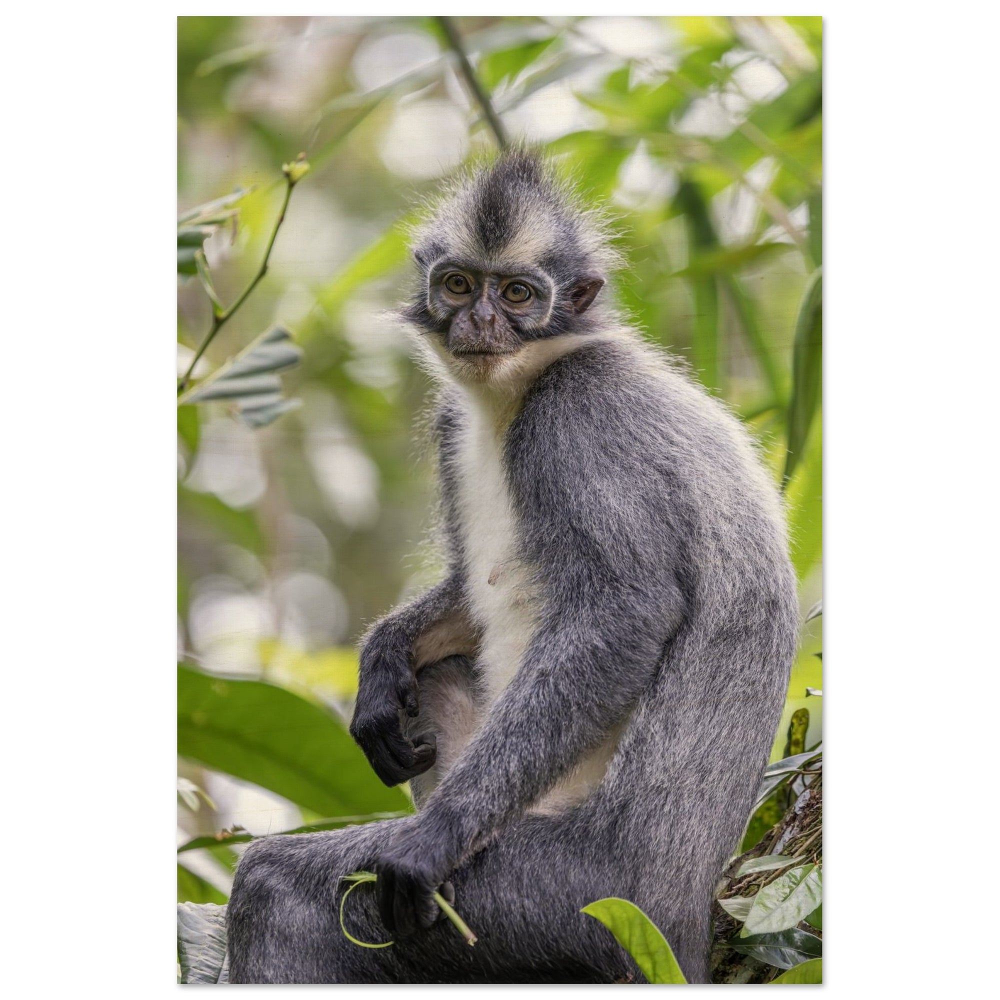 0b5bcad4-c1b8-4832-8d75-0a2a4de64a08