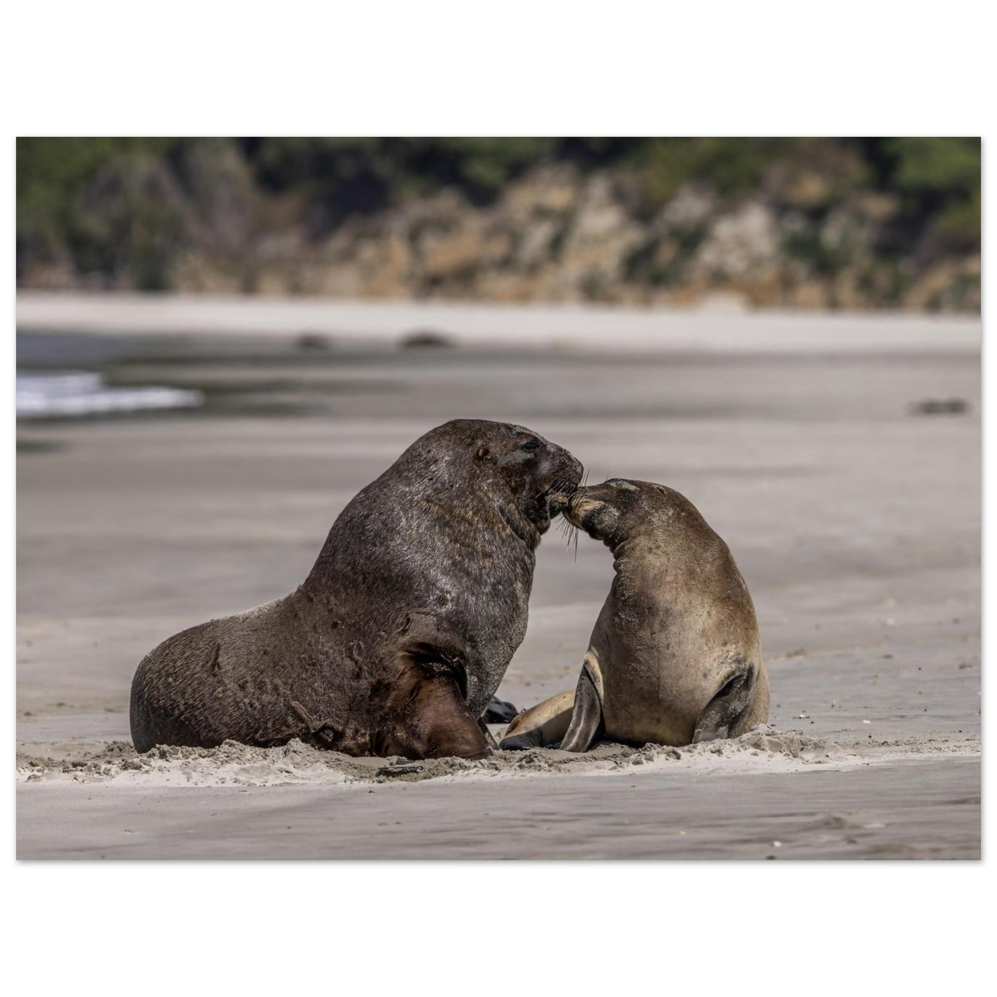 0e3e3f9c-0417-472c-a193-e9bce7413ade