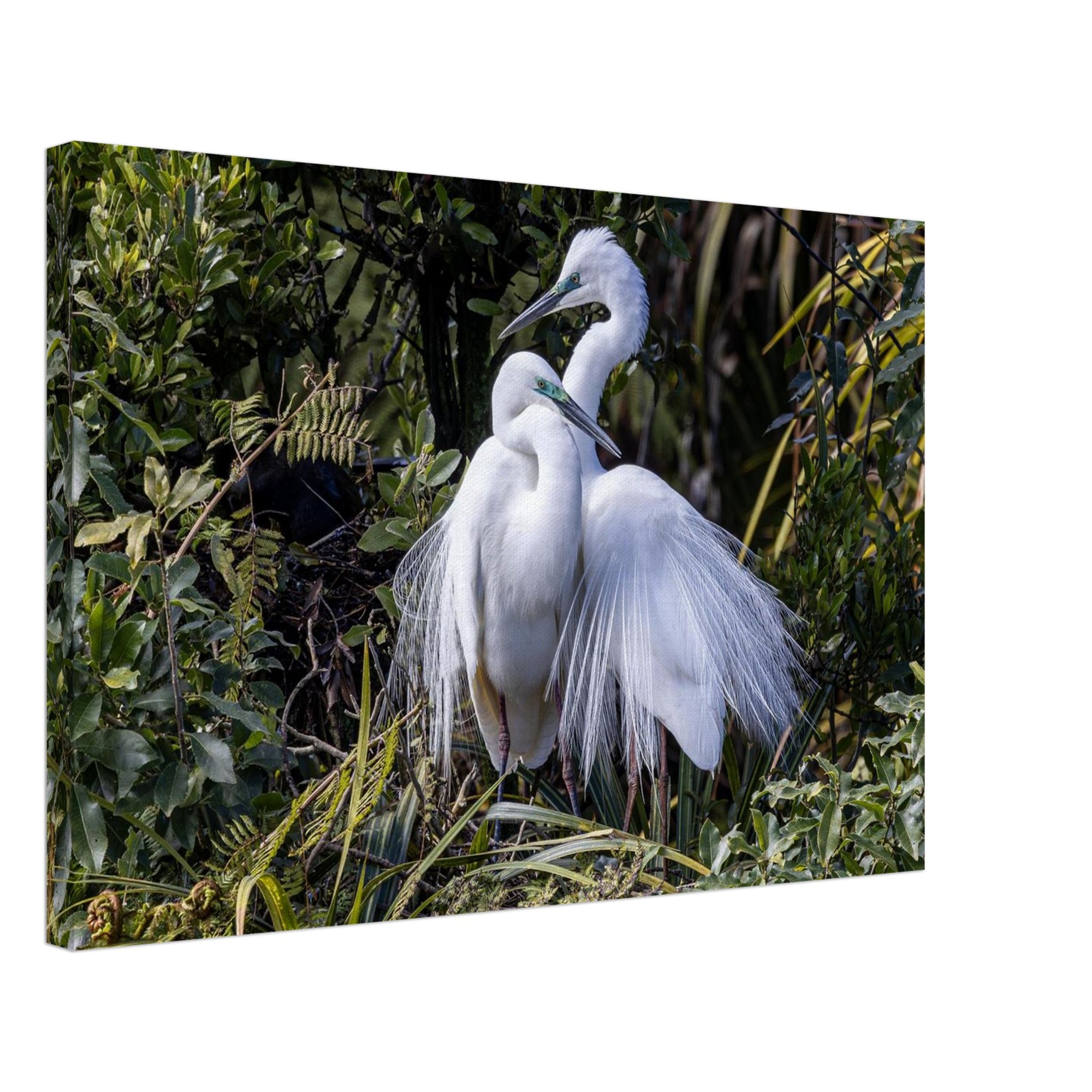 0fd9668c-f559-4831-aeec-4c52d4d80eb2