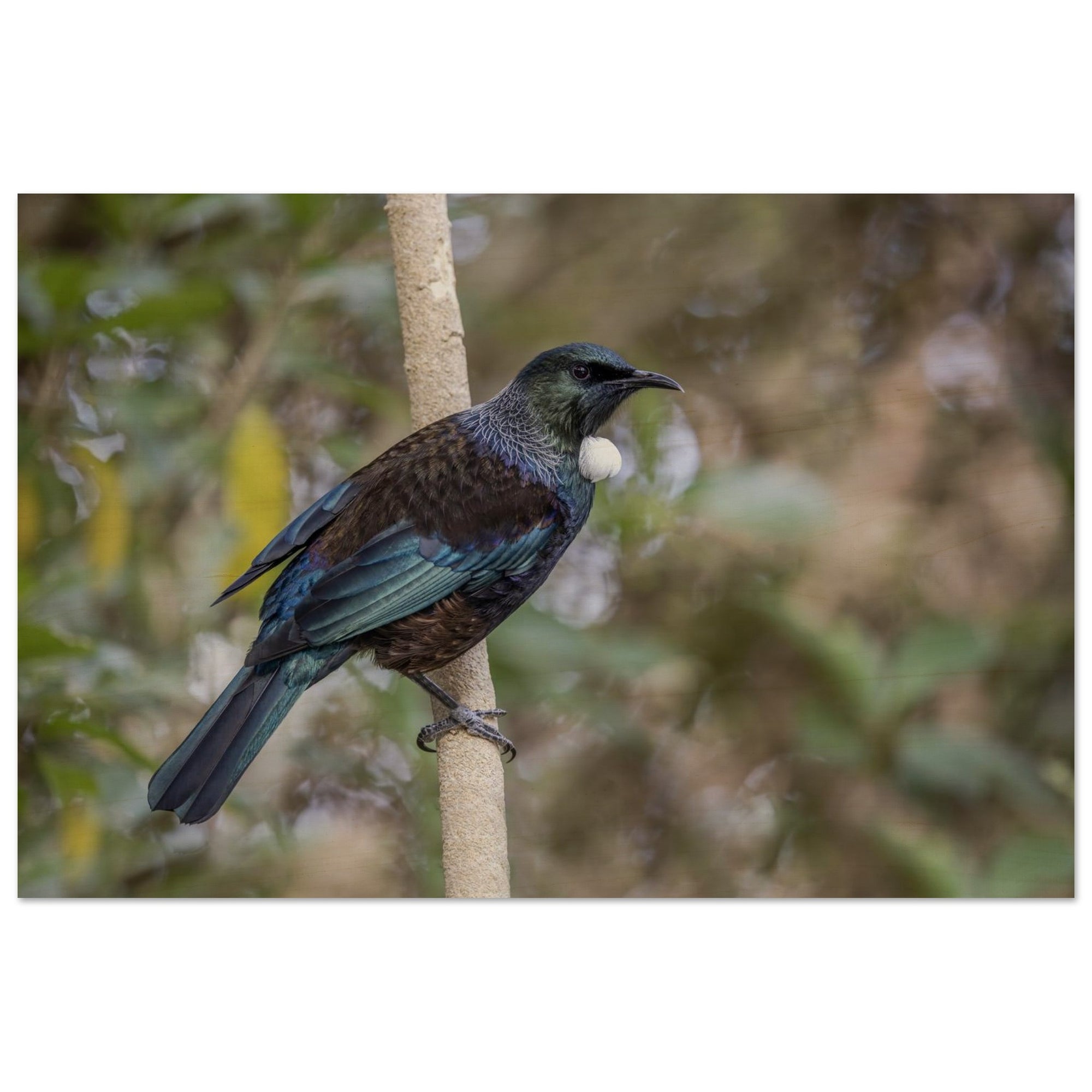 10796384-e2f7-4904-82ff-14a3fd493f28