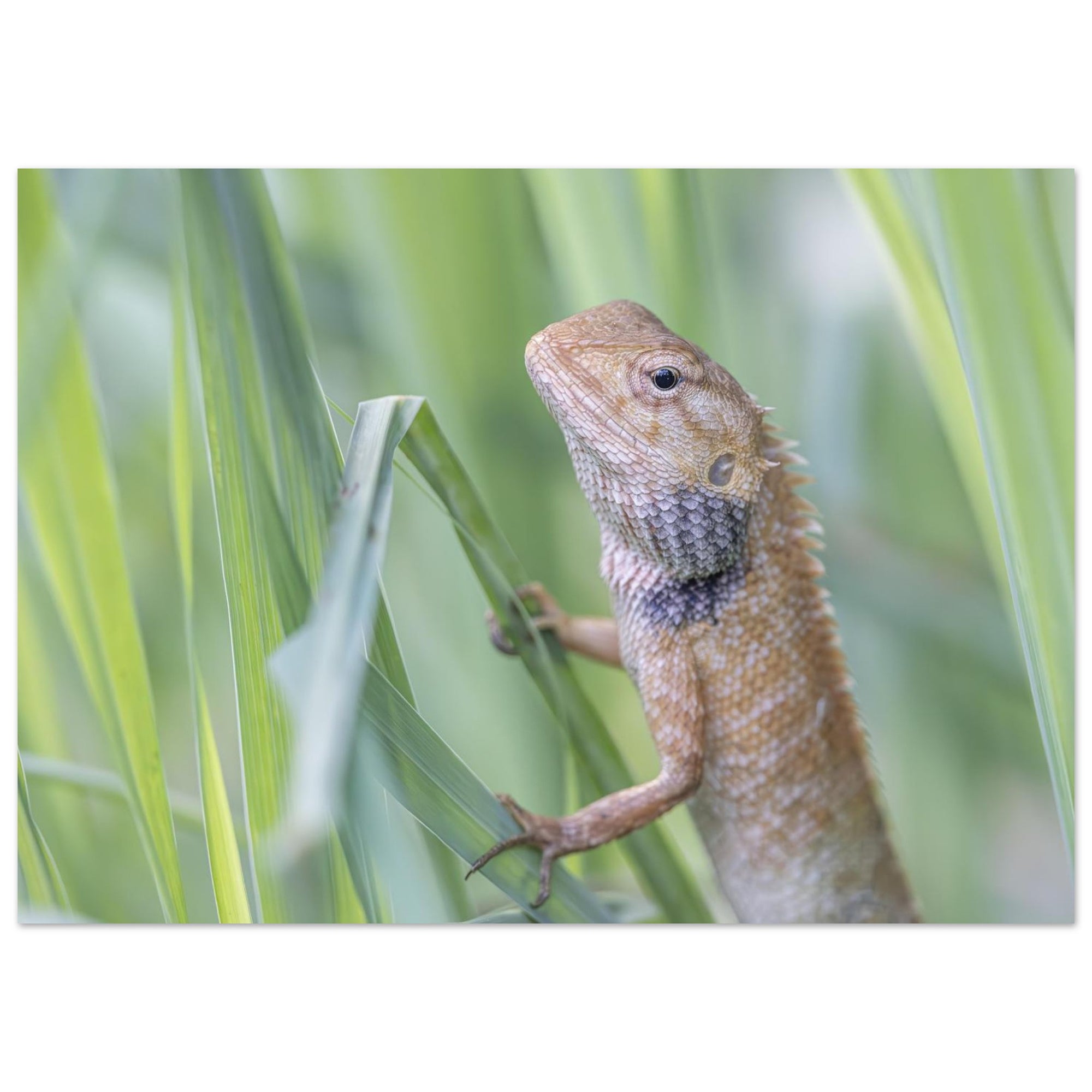 11255d7e-67db-411e-bc31-9af4100c3fee