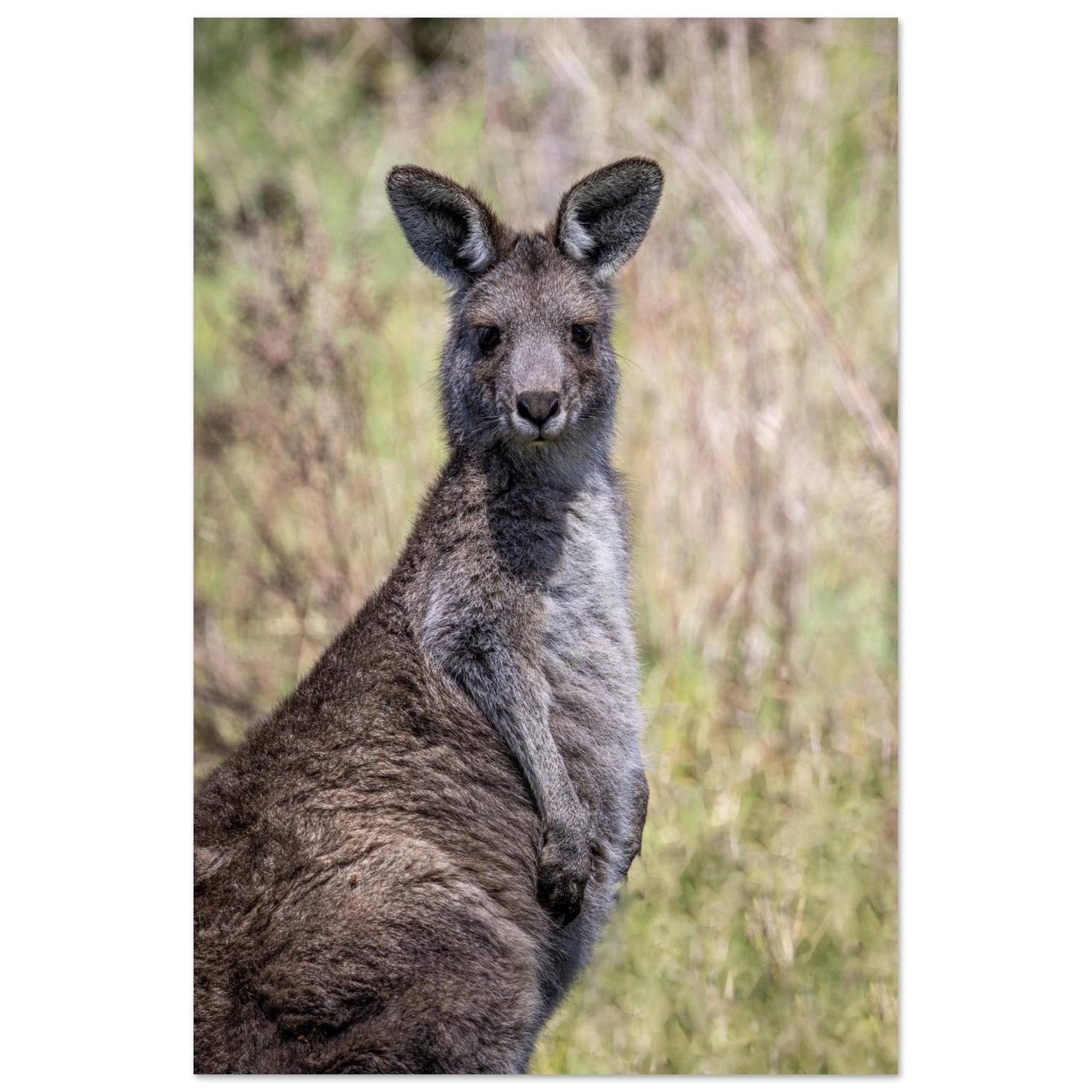 1137f8b6-e335-4f82-a6fb-5afd2843fe22