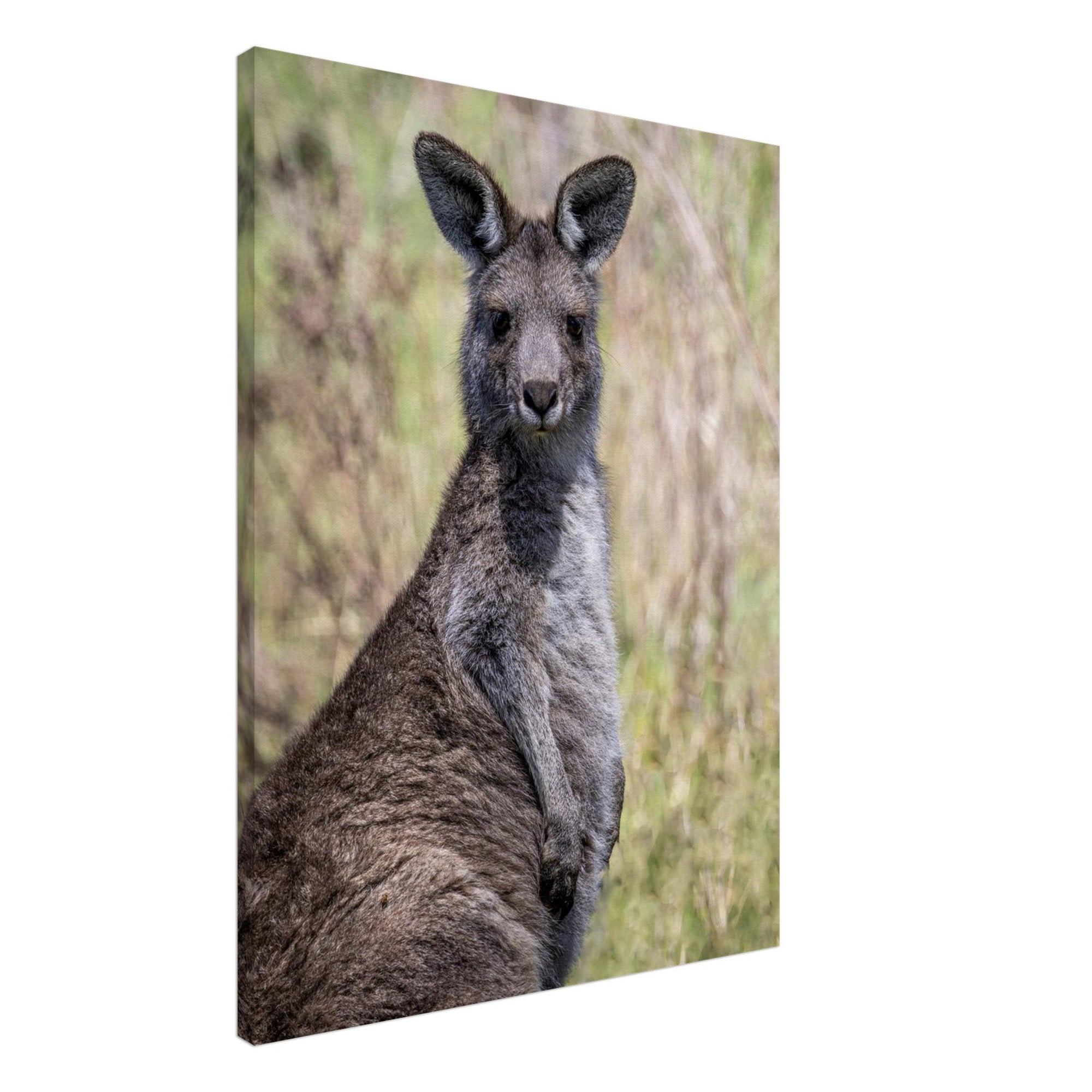 11b69b8a-deee-4d98-a629-5d9ff9c877cc