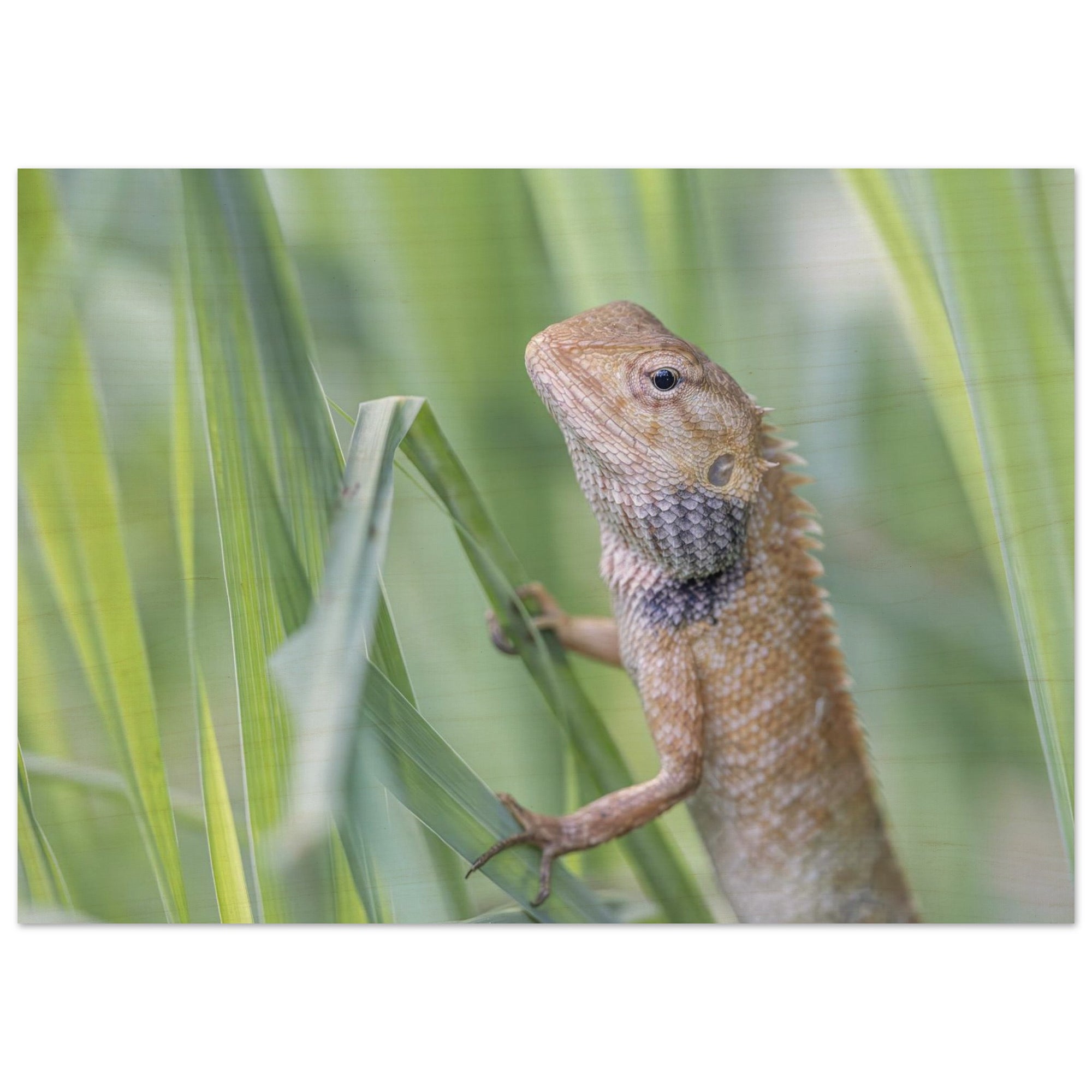 1490bae3-62e2-4a0b-a834-55d459af1b9f