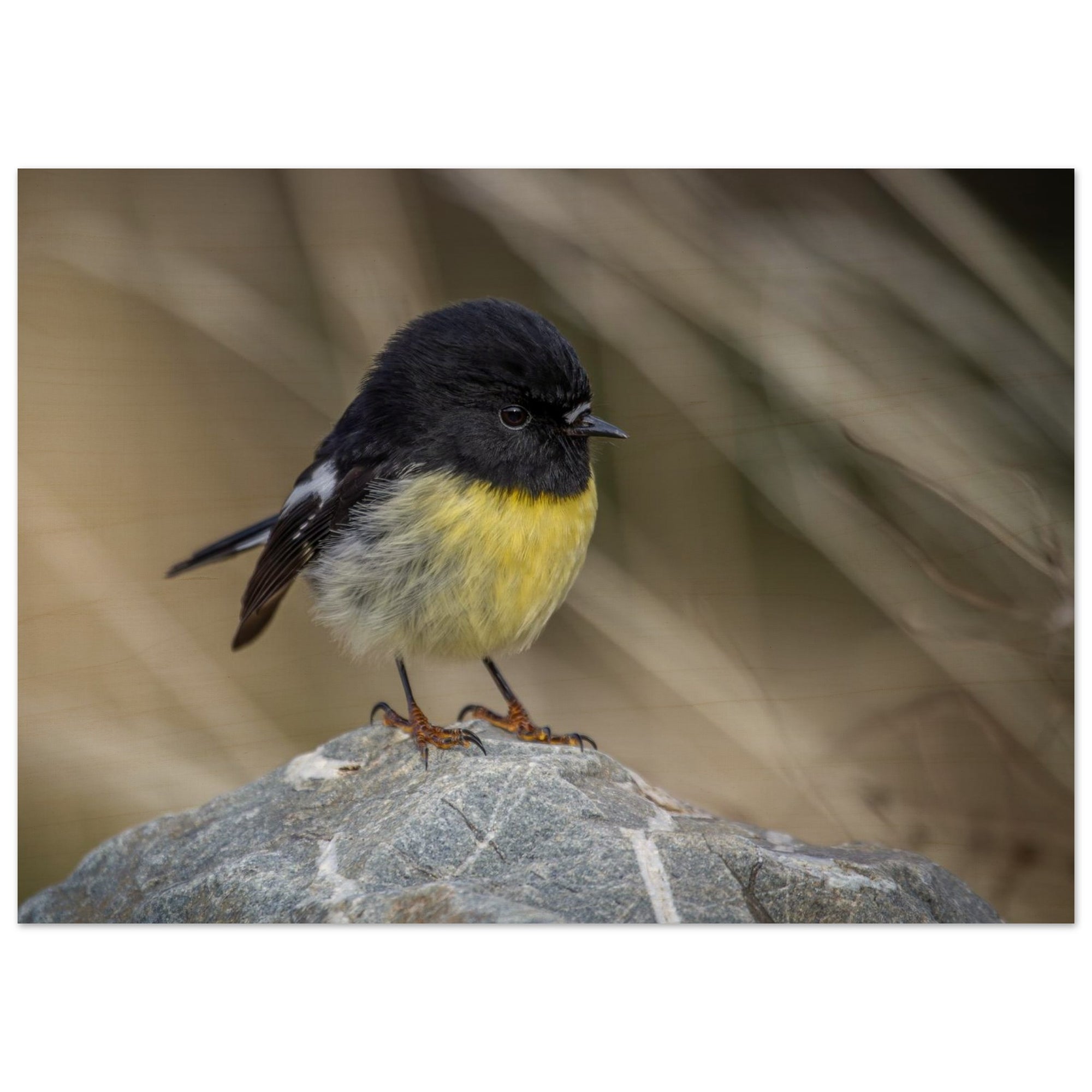 14d02d71-46b9-4373-b89e-5c004089575c