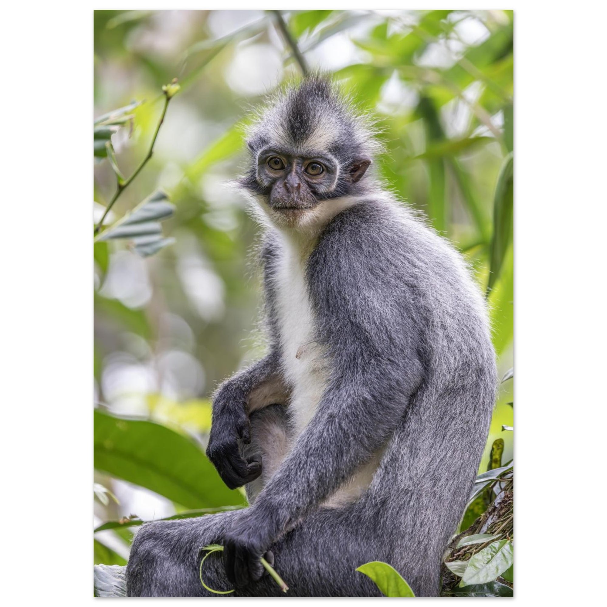 18058922-669e-476d-a54f-d66dca923789