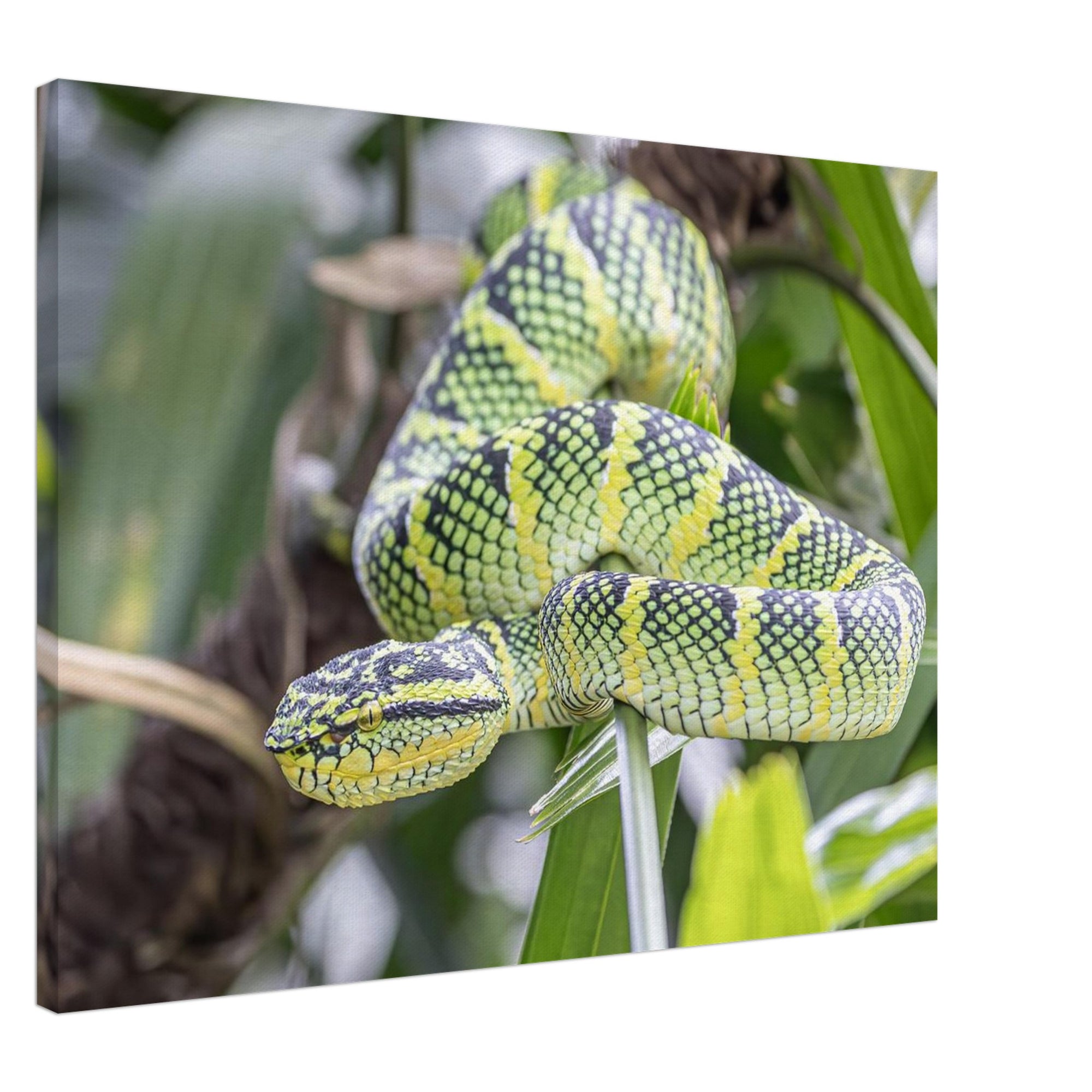 1907b954-781e-4a65-ab89-fa74d5265c8c