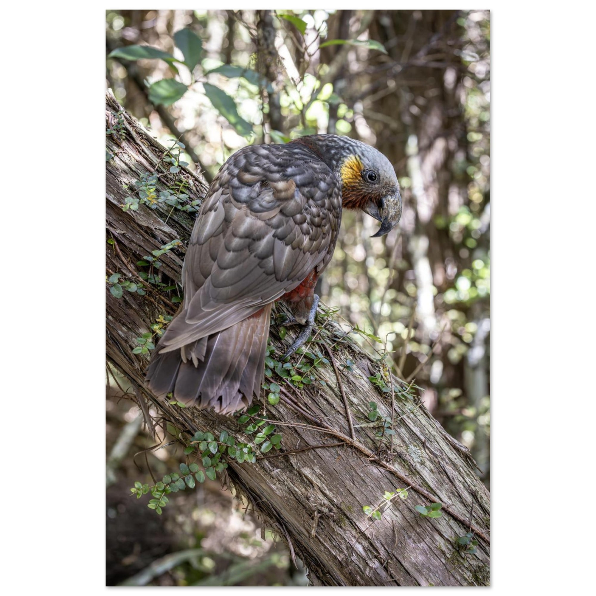 19096bc8-c042-4619-84f3-f79b402dc4dd