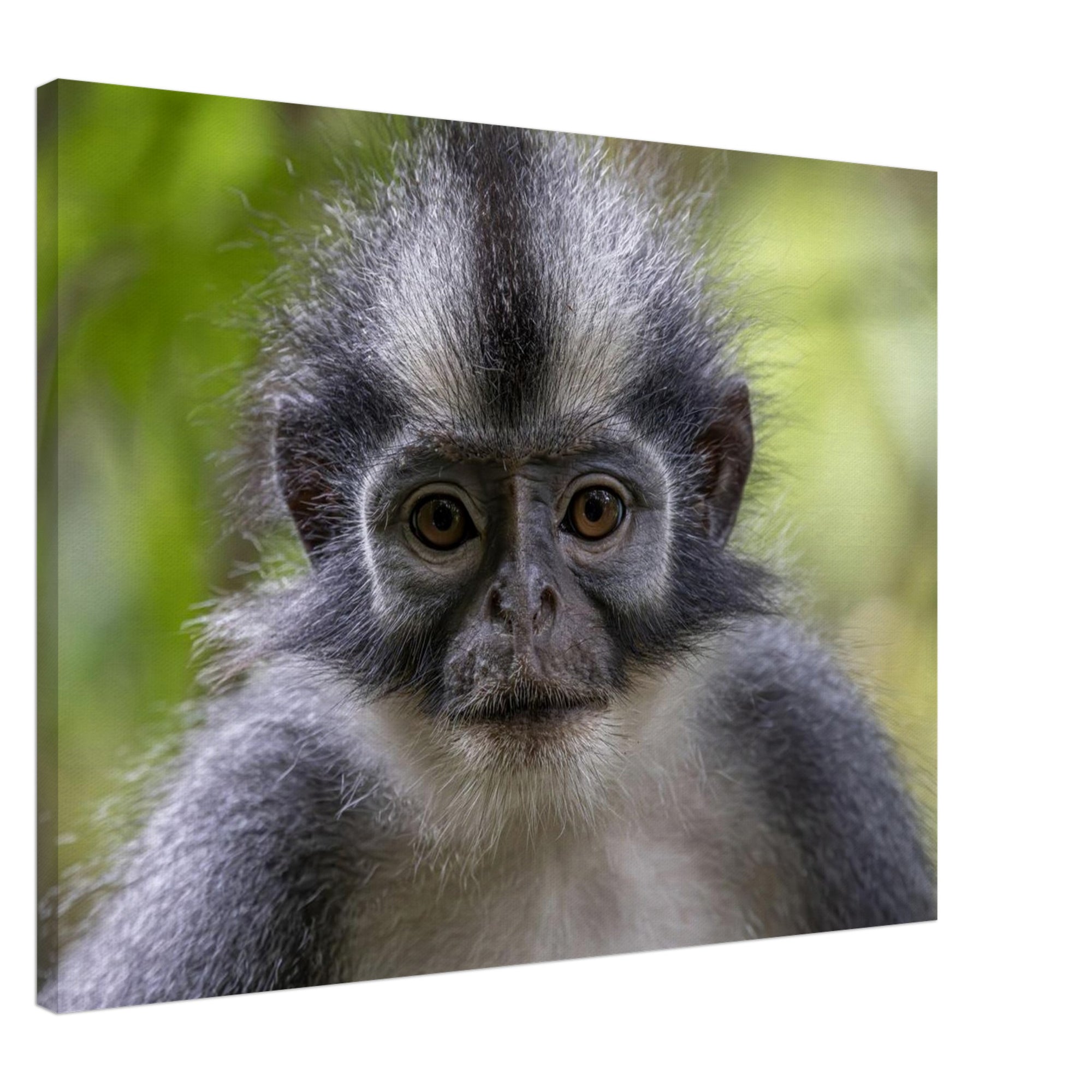 1aabcc95-3640-46d8-aa38-a08147f69236