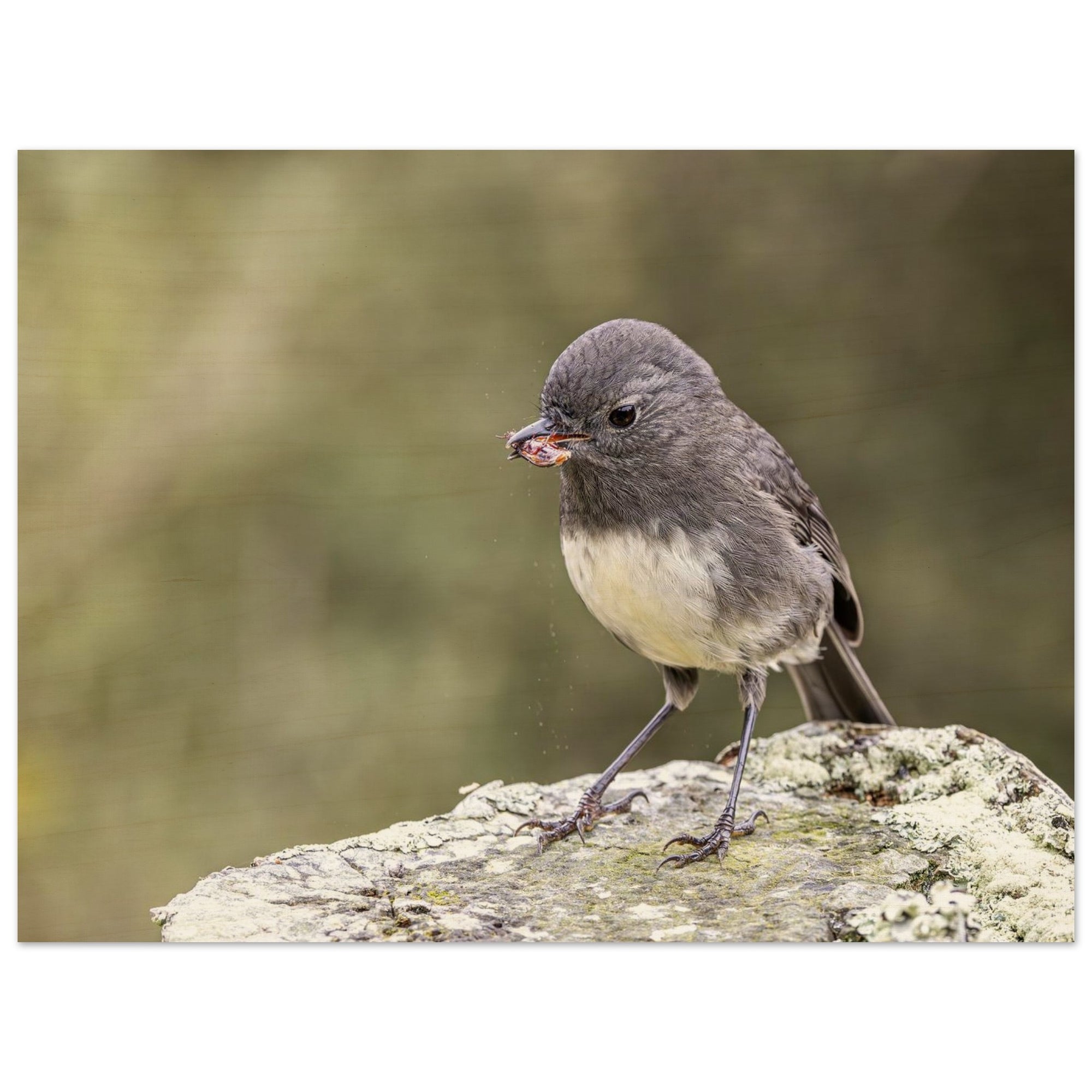 1d59d5e3-f19e-4874-ab2c-4f217402bf29