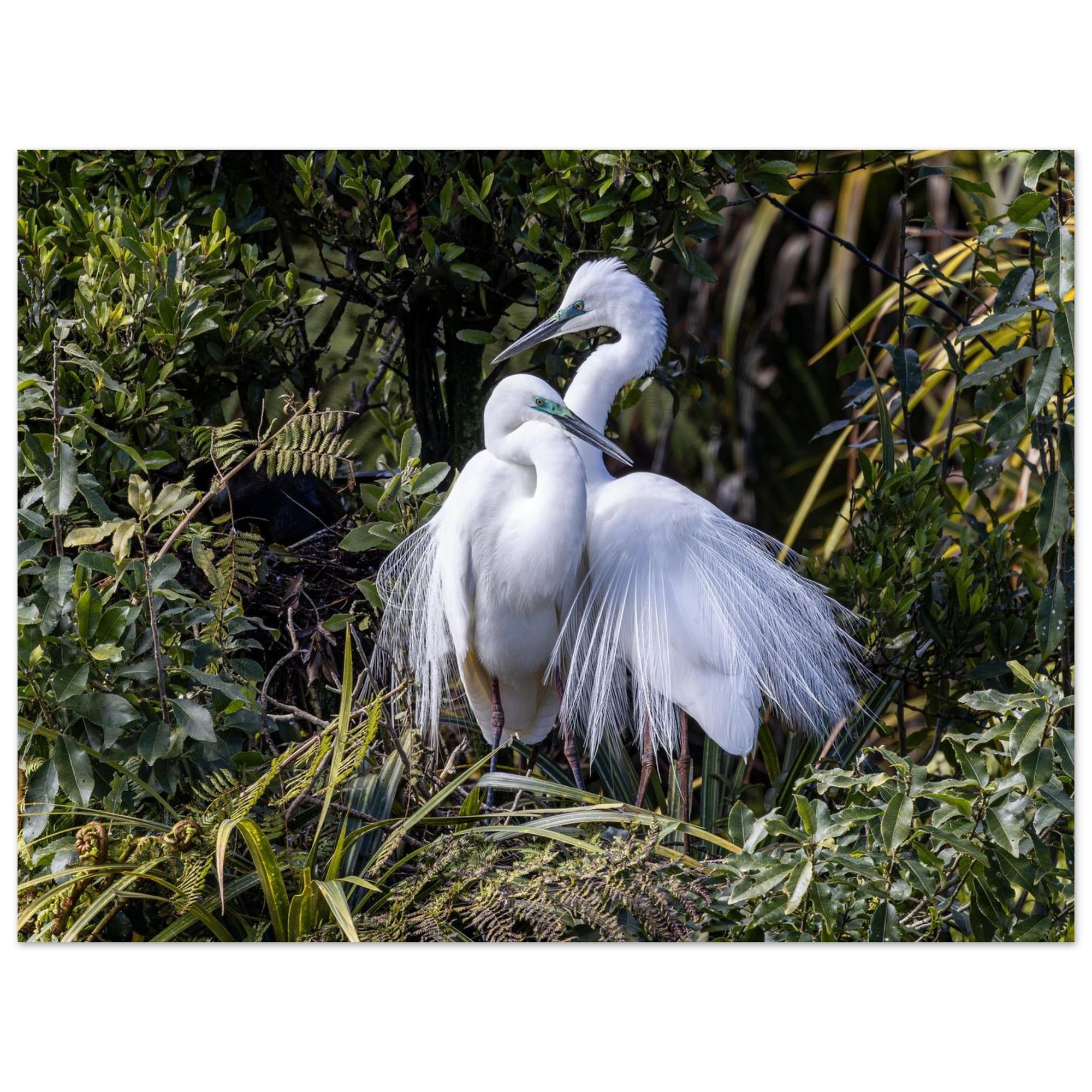 1e80b477-7109-4b3d-b97e-ff6bbec06a51