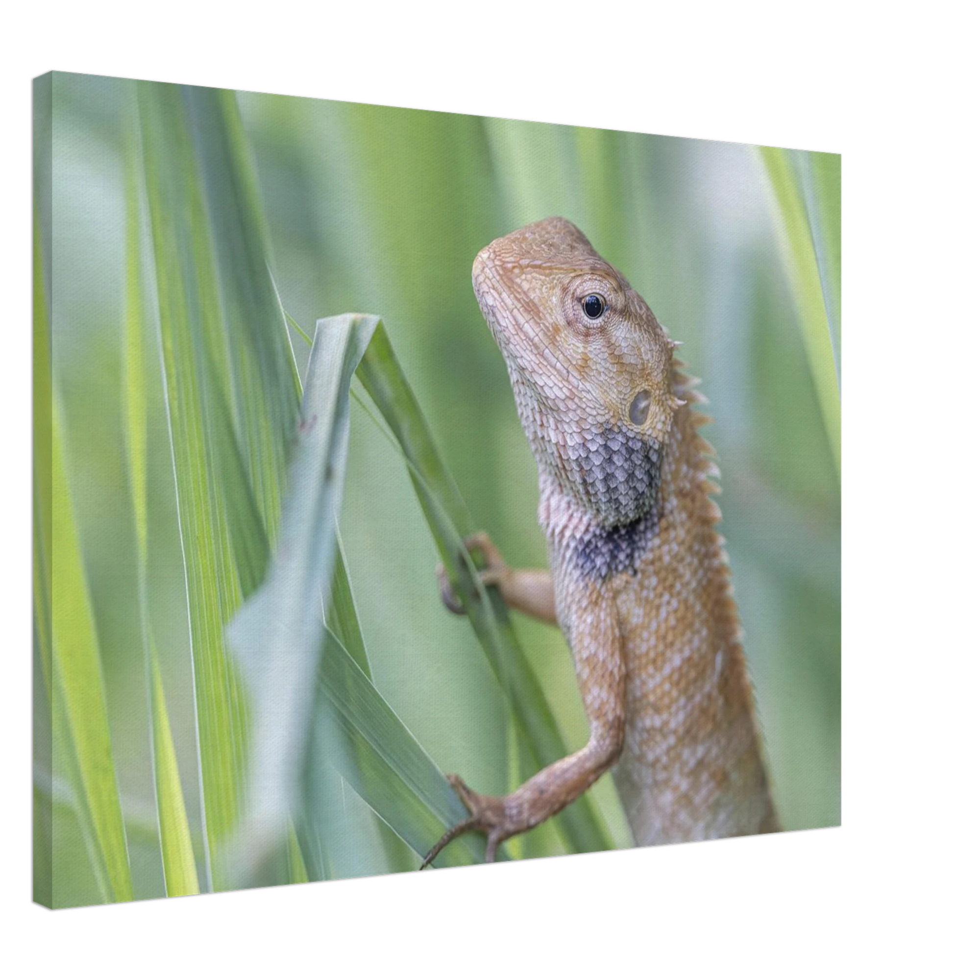 21c86c1c-d3d3-4e0c-ac82-0a2f7995622b