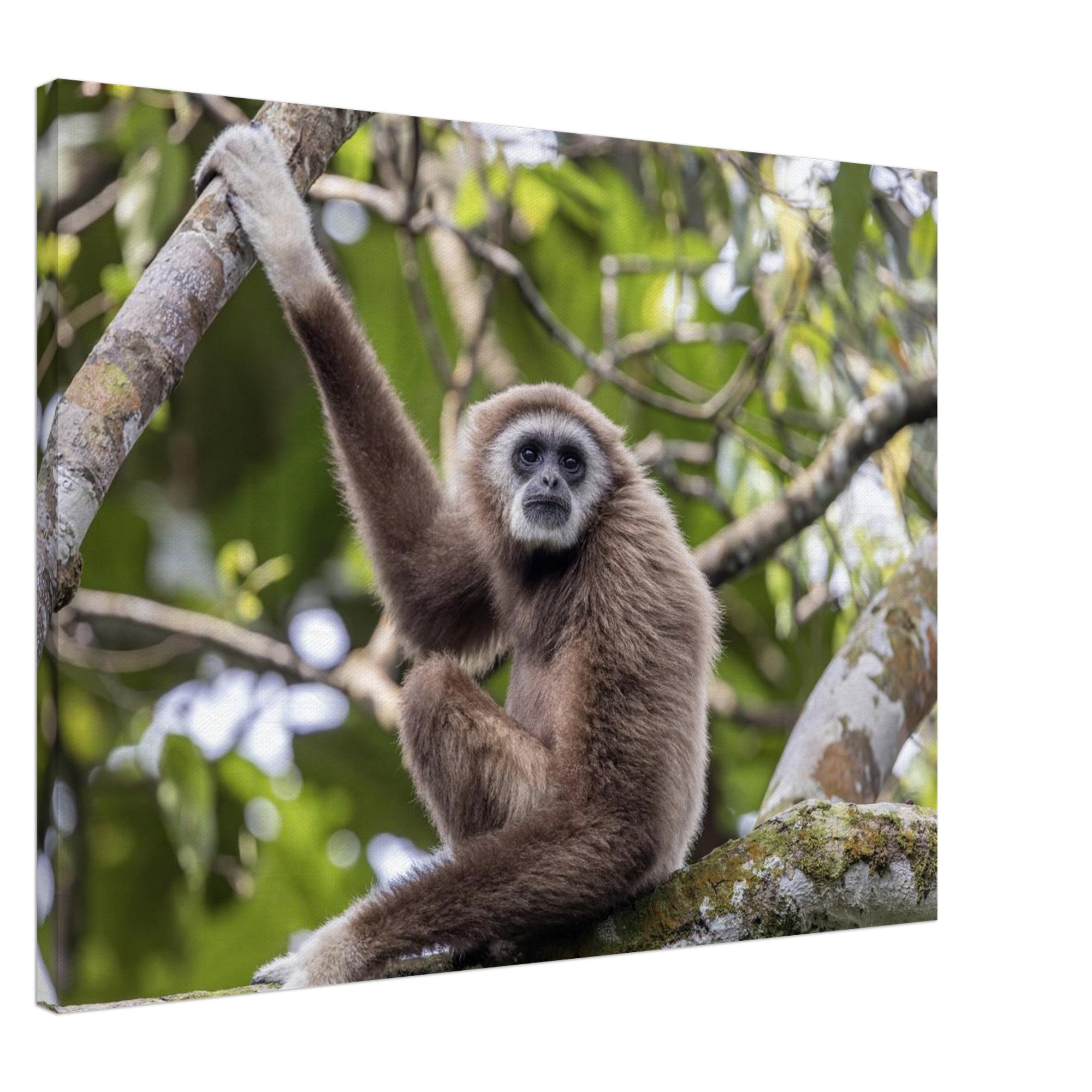 225ca507-e985-42eb-b934-1a6c37da00a5