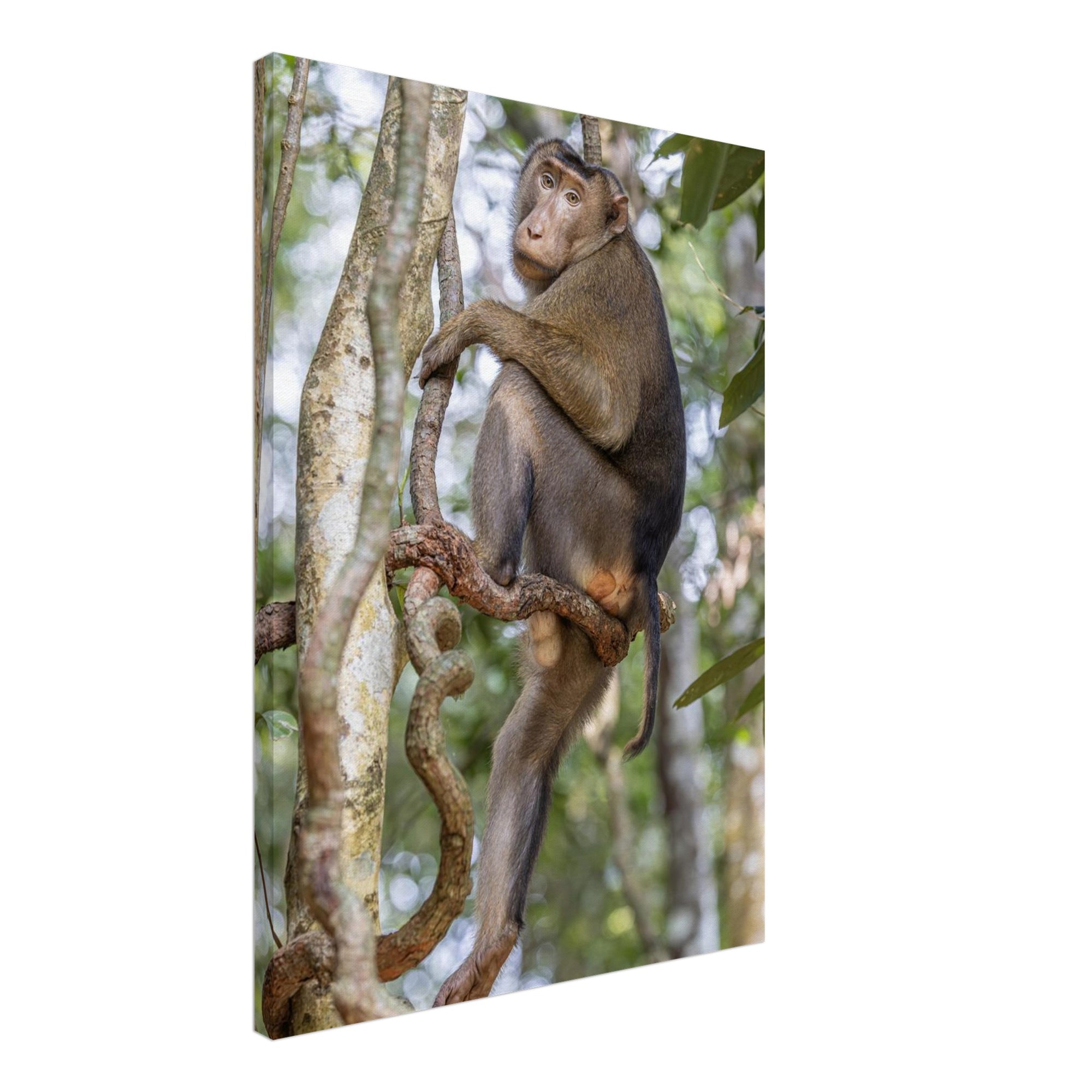 2652ddb3-e03e-4e7b-8e36-dd5b0daffa46