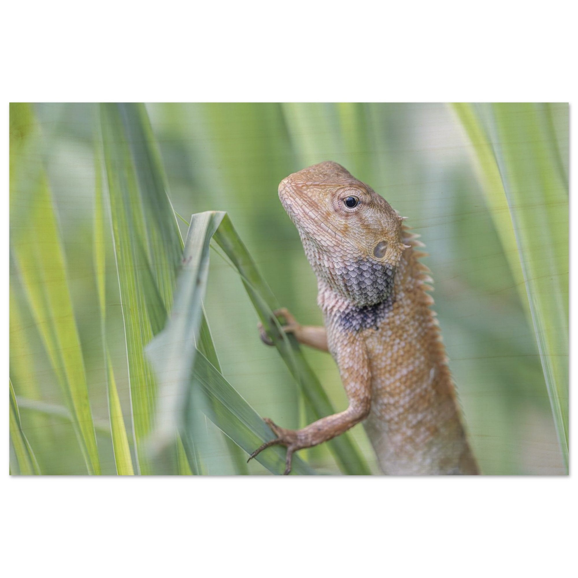 274aaa18-852c-4279-8671-d8622d34edc9