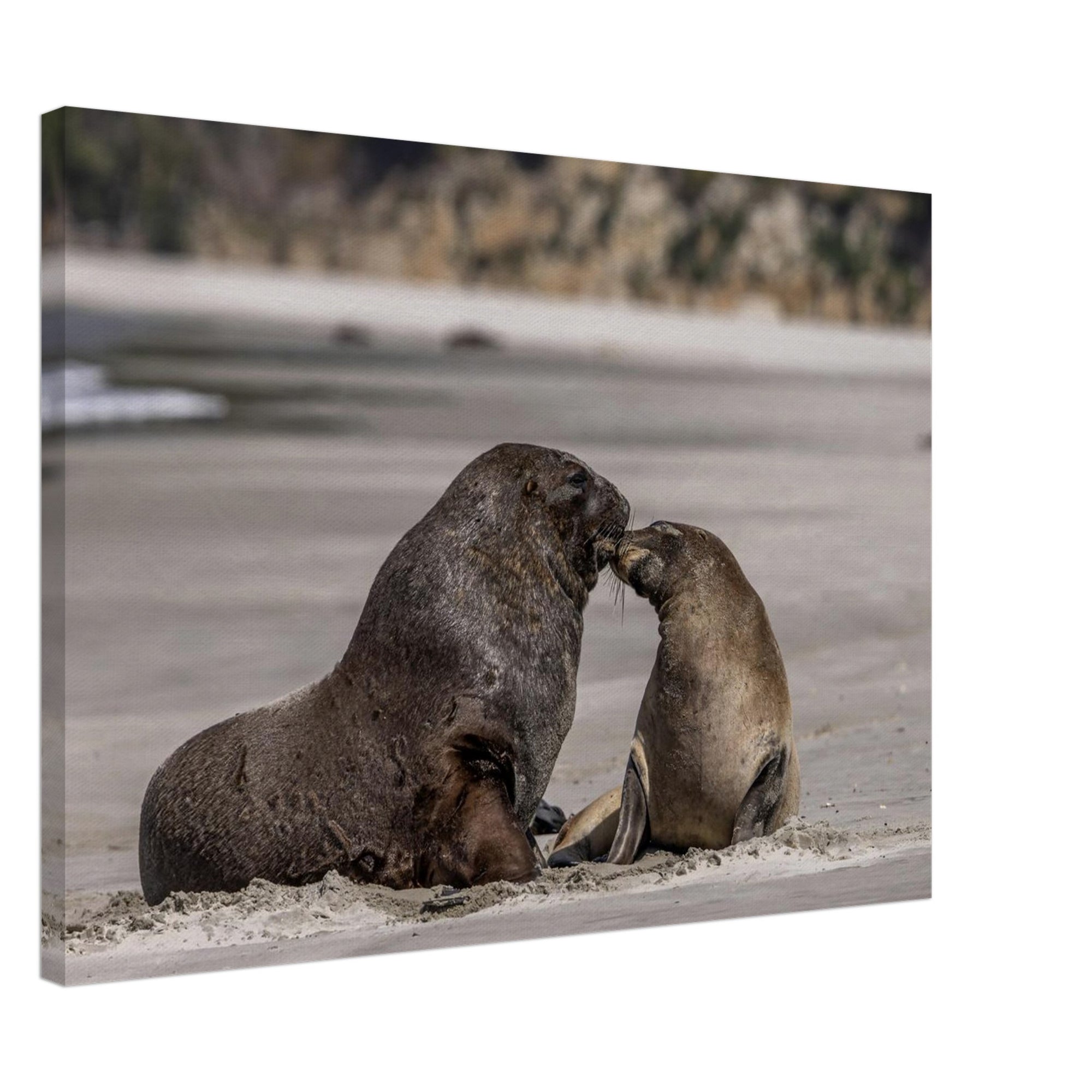 2ae20696-be8f-4386-8ac1-d11388e53193