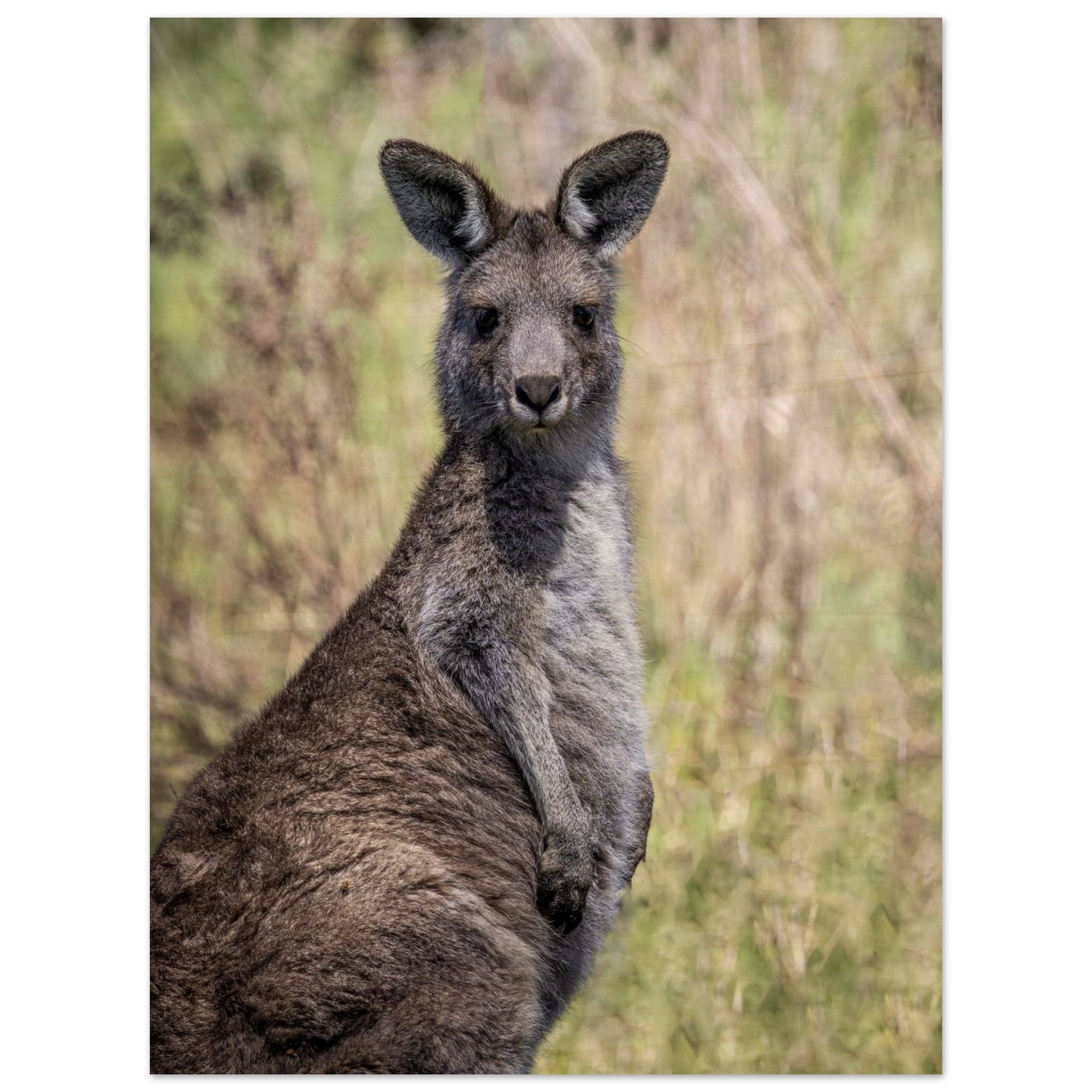 2bbc7eba-f5ab-47c3-8dfa-80cb06663ae4