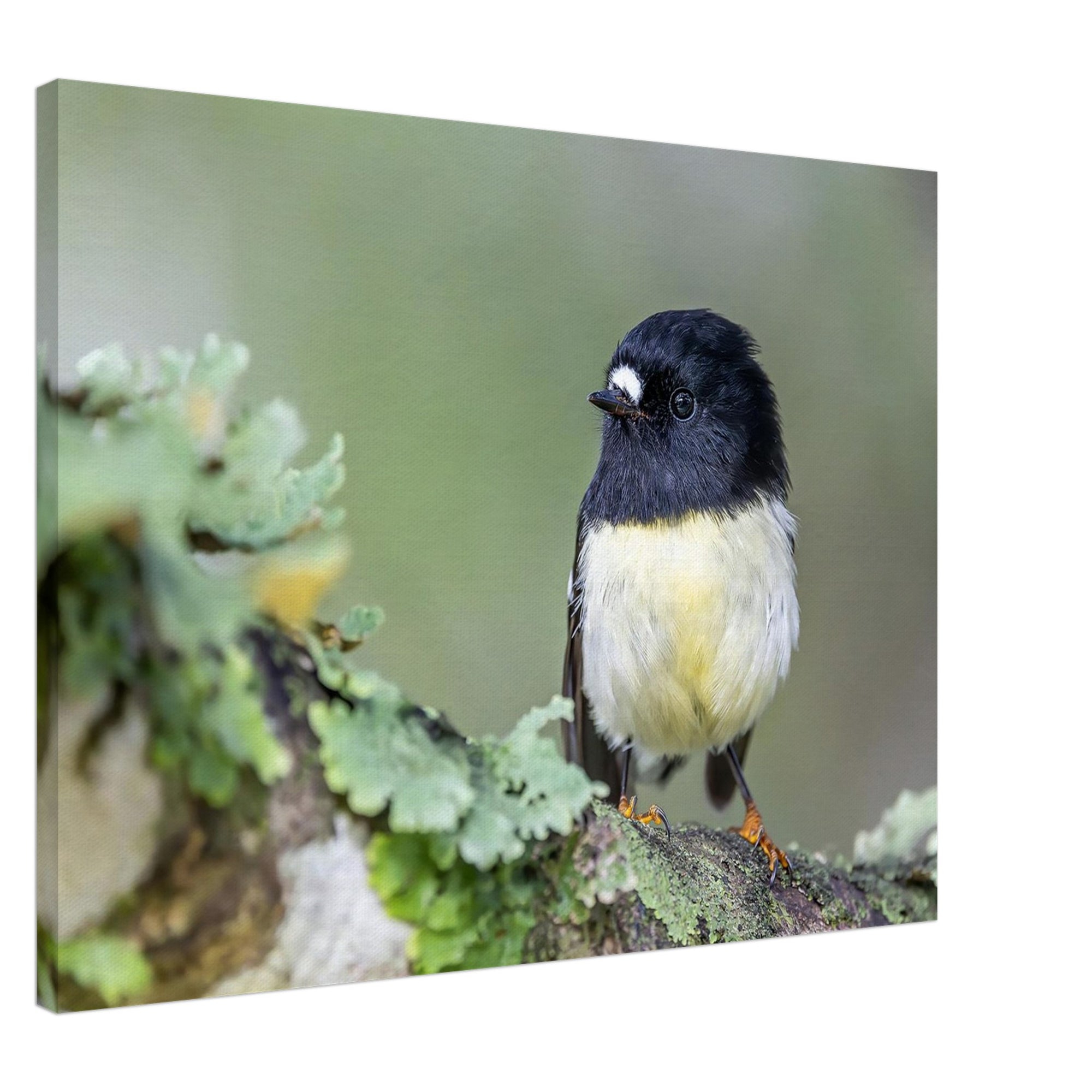 2d450847-f804-4062-8bdb-63344641504d