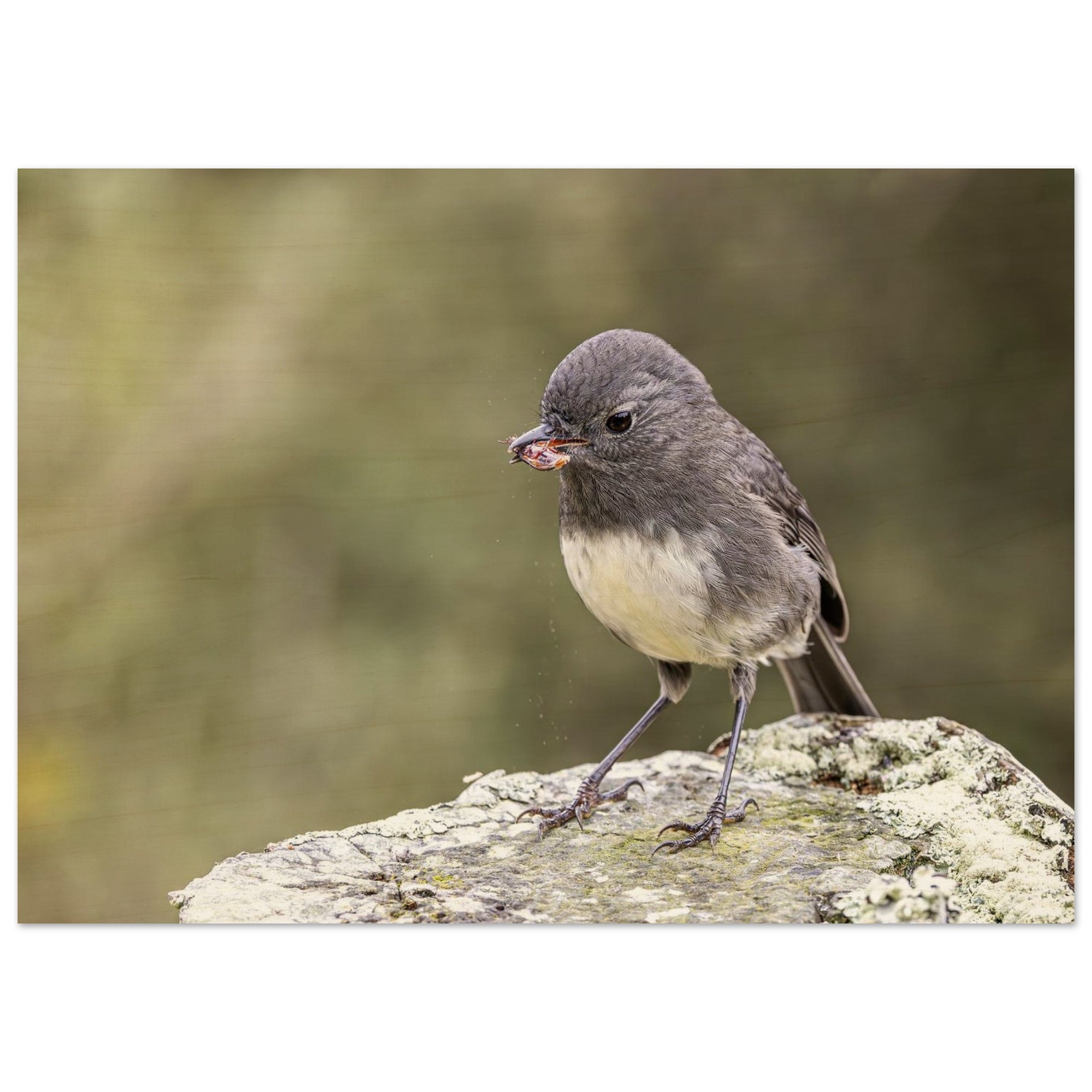 2d8fe51c-38d9-4d28-8f2d-1b98d6c58487