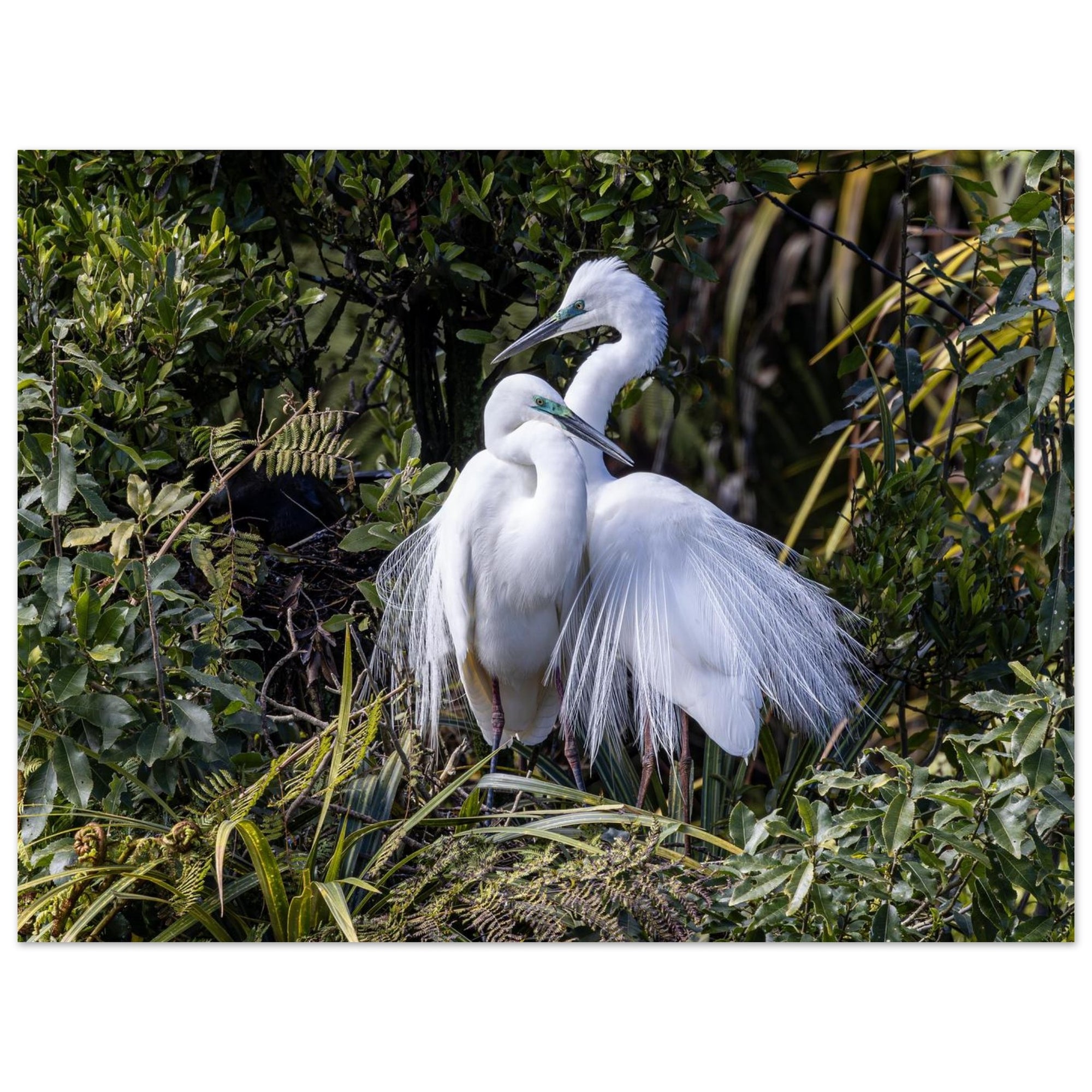 2e165896-4583-4a1e-b2de-f2bb55453d26