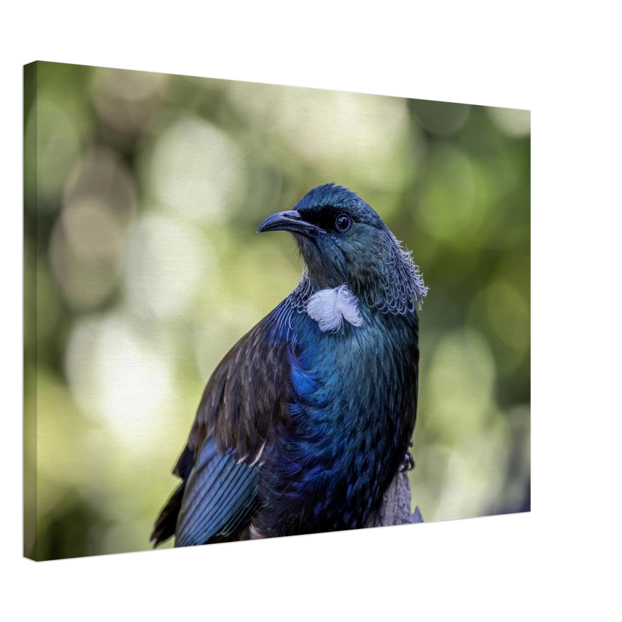 2fe46bd6-3678-42a9-bdb7-c016817c663b