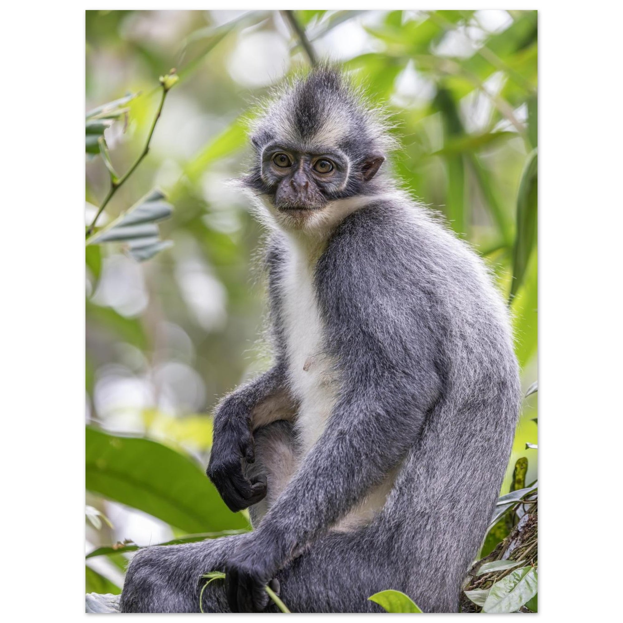 30615c90-03cb-4e99-9493-8ea3c448754f