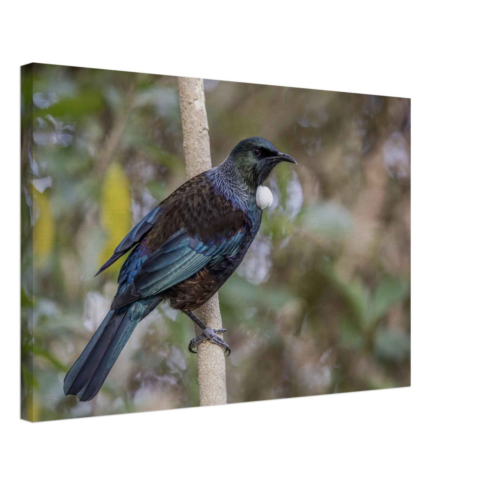 307958ed-e27a-41c8-9c6d-a4050692f271