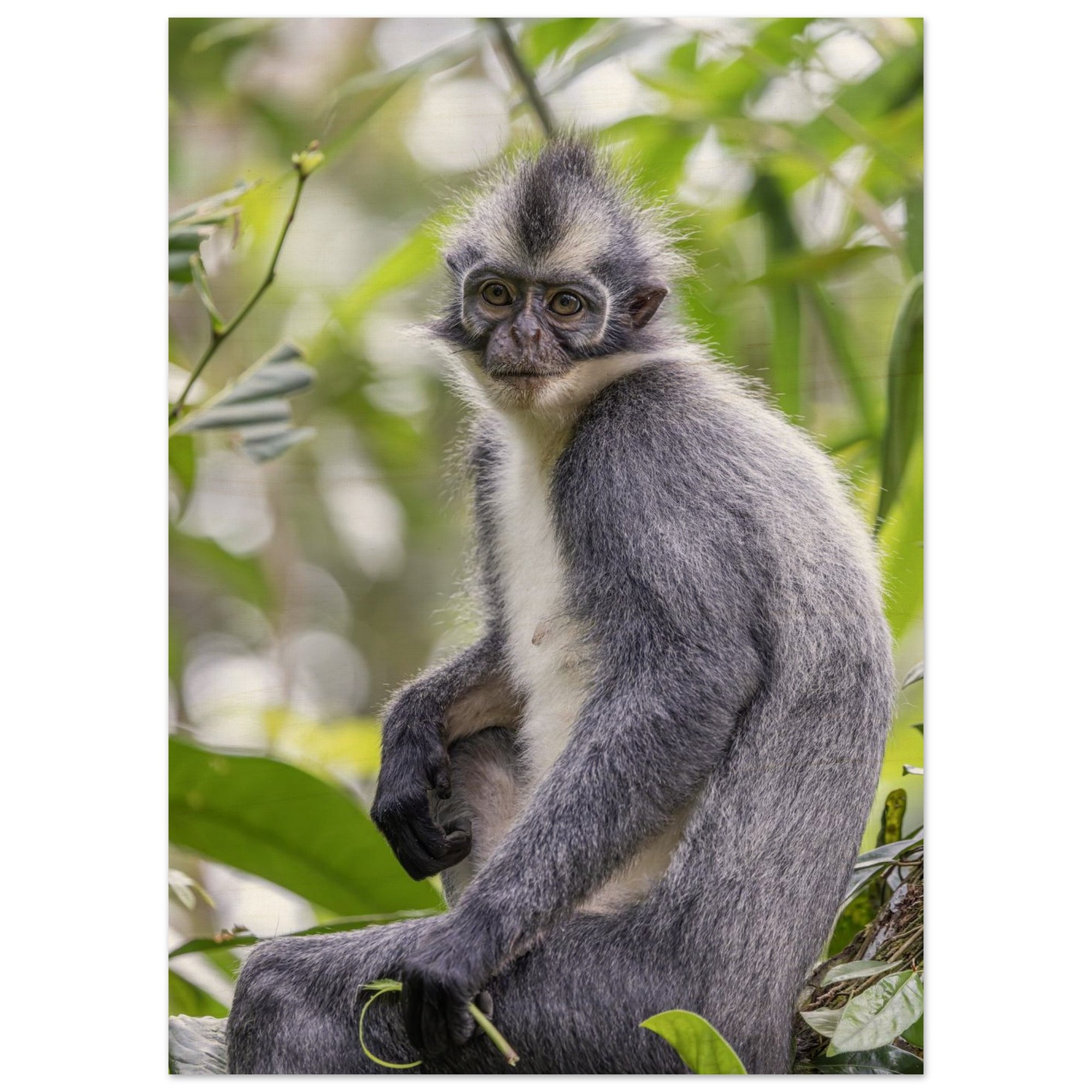 31278b04-d1e6-4f32-9b48-c8d0918bc4e6