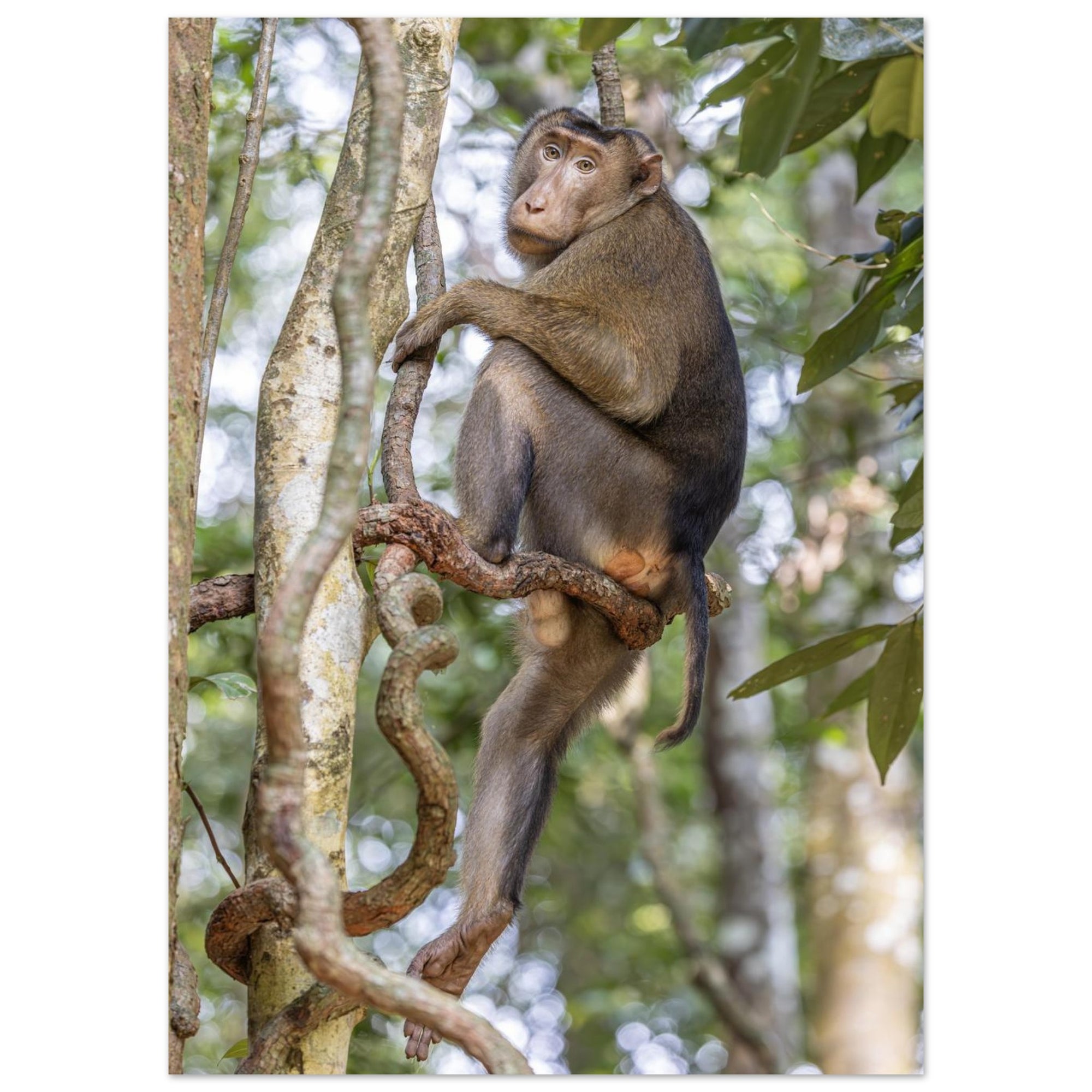 317f9b11-fd32-4ce1-a448-26bdefadfb05