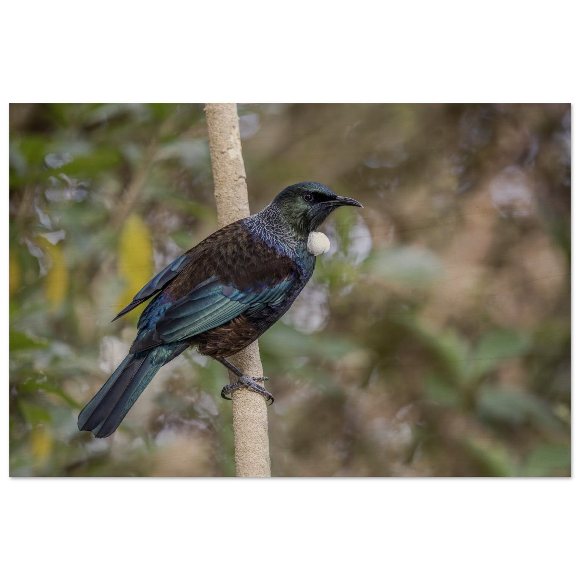 323f913a-2e91-4243-9027-370317f7a394