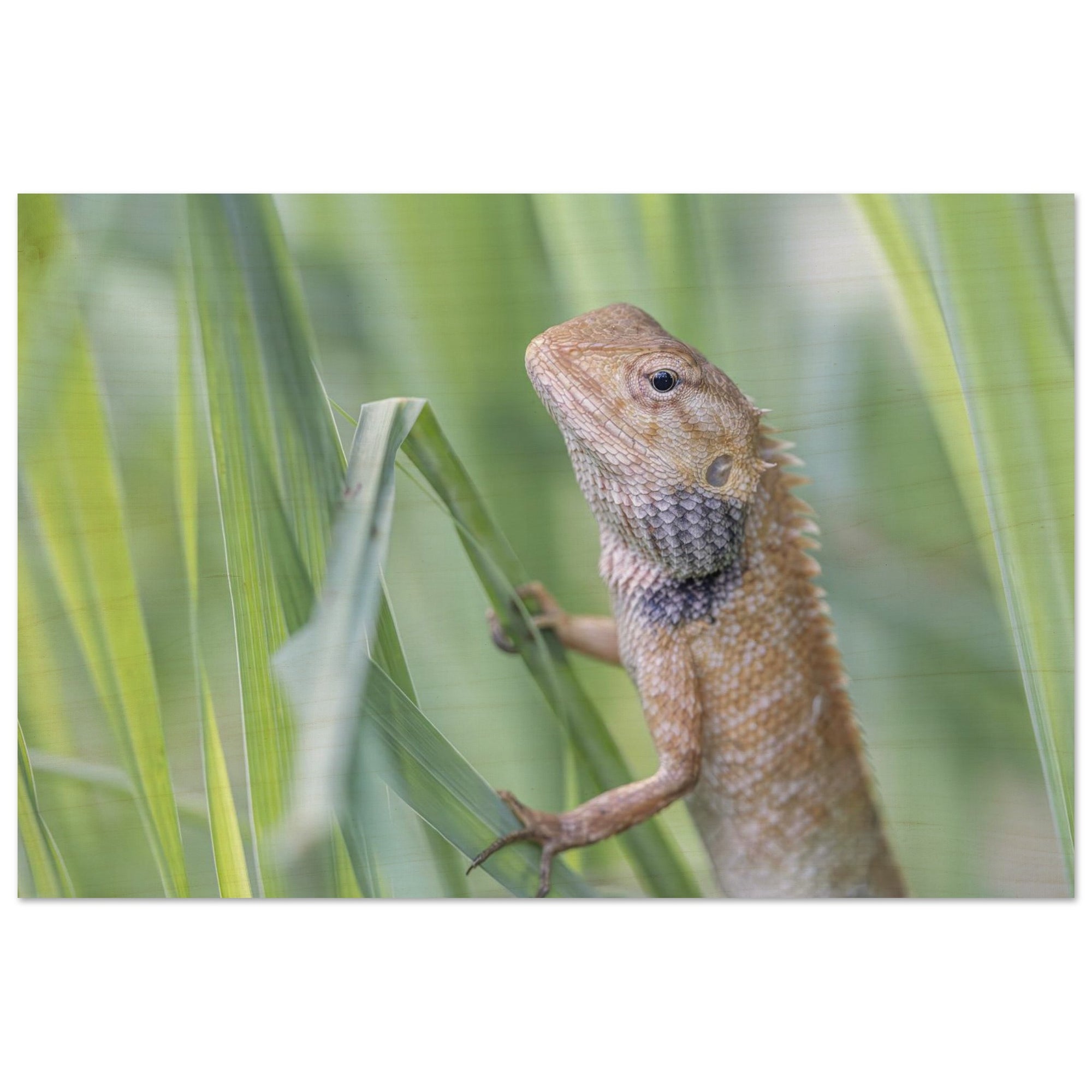 349b53ef-cb0d-4d19-b958-7f54bd51b184