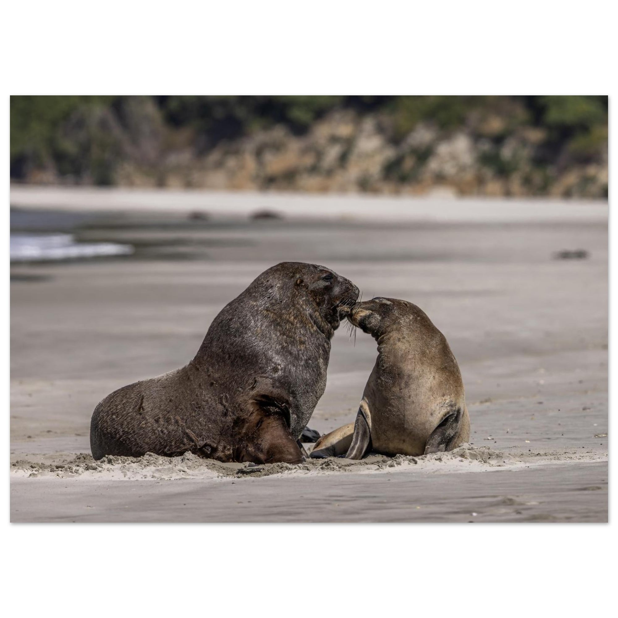 352fa0c5-a75e-4480-a70e-ebdbff450835