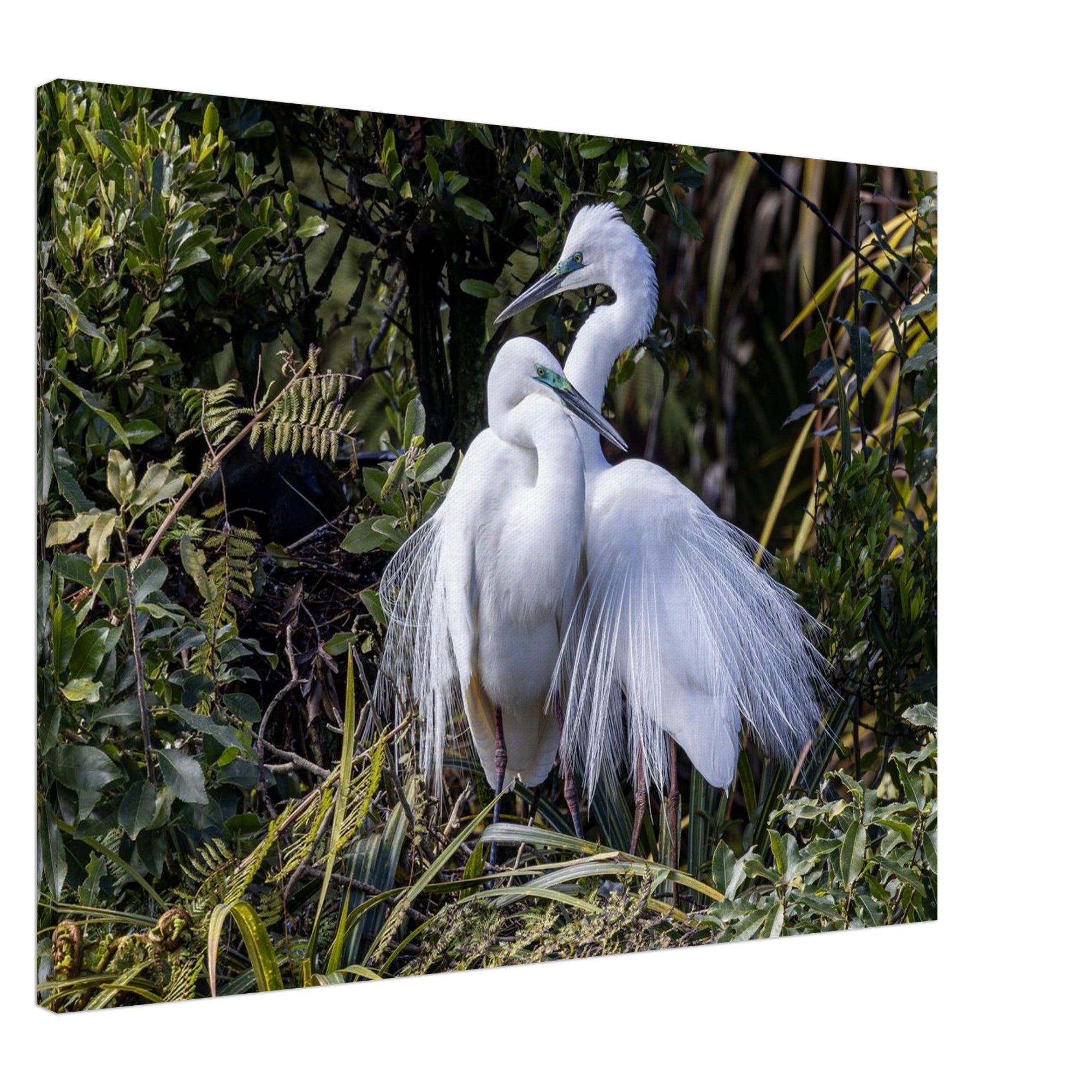 37320b12-df91-4dd5-b597-a4dcd3d5a303