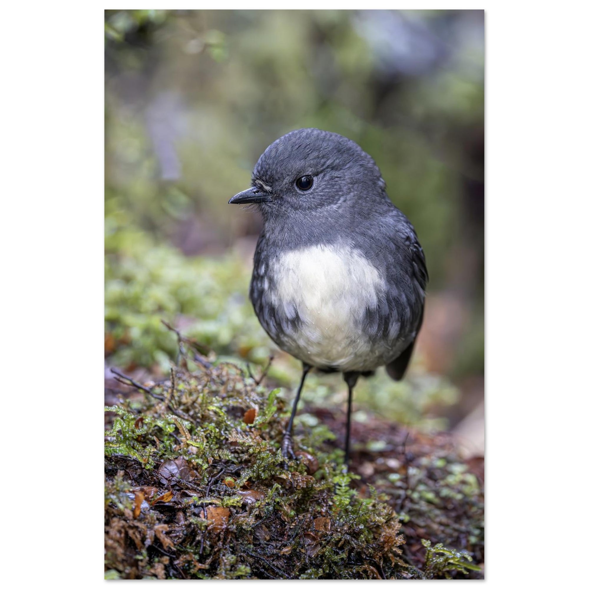 37ed9449-6874-49ef-9296-10f9469f6068