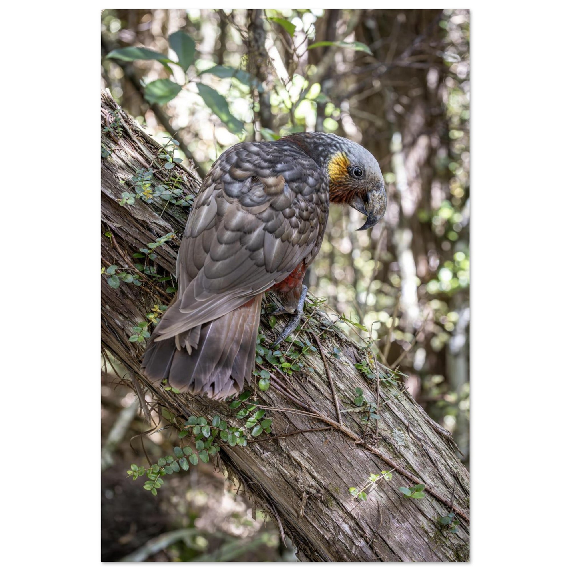 38d88d62-2969-4769-a69d-749c1e6abaf8