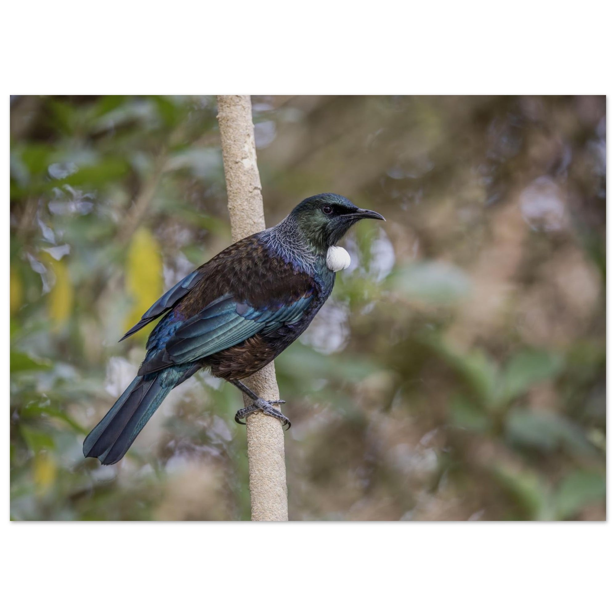 394add5f-b73d-4b8c-beb9-6ebfd0cc5387