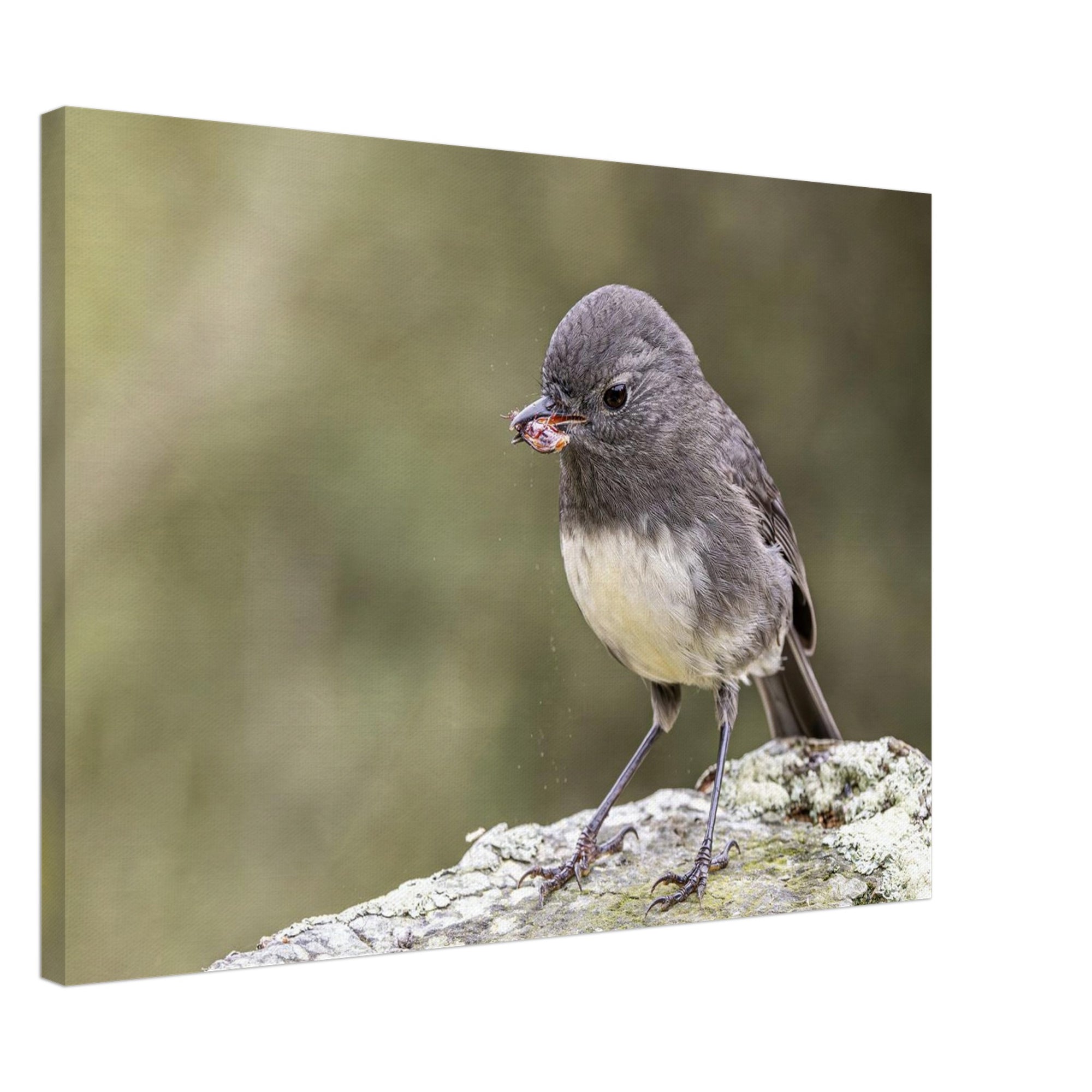 39f45bbd-bd72-4870-a11a-cdcd048ea77c