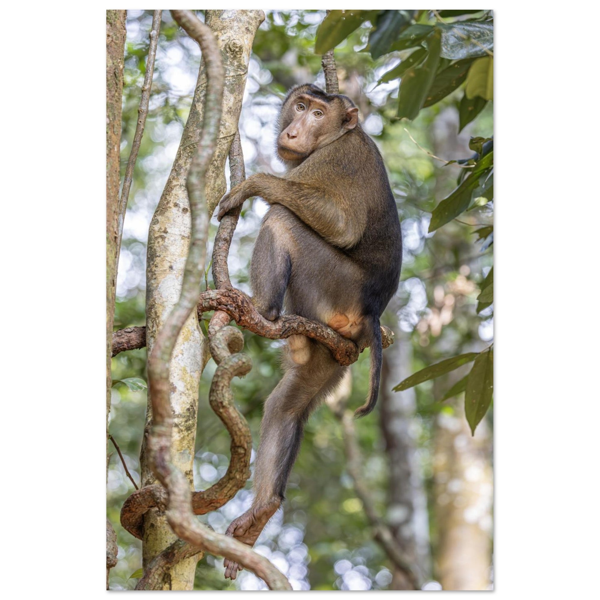 3a343d28-d351-4147-802b-eb623ae6a71a