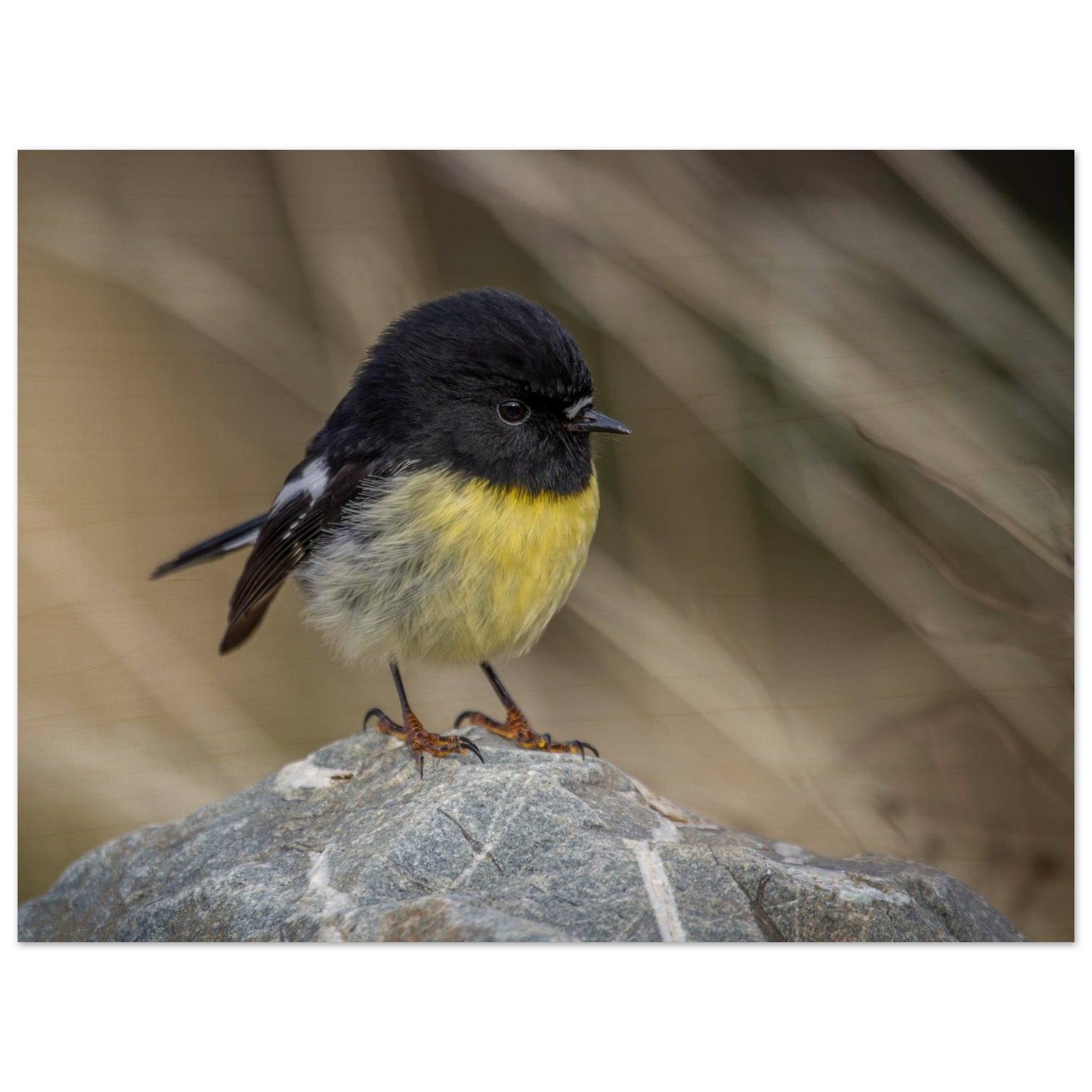 3ac2e549-442b-4719-94f0-1ee034db8221