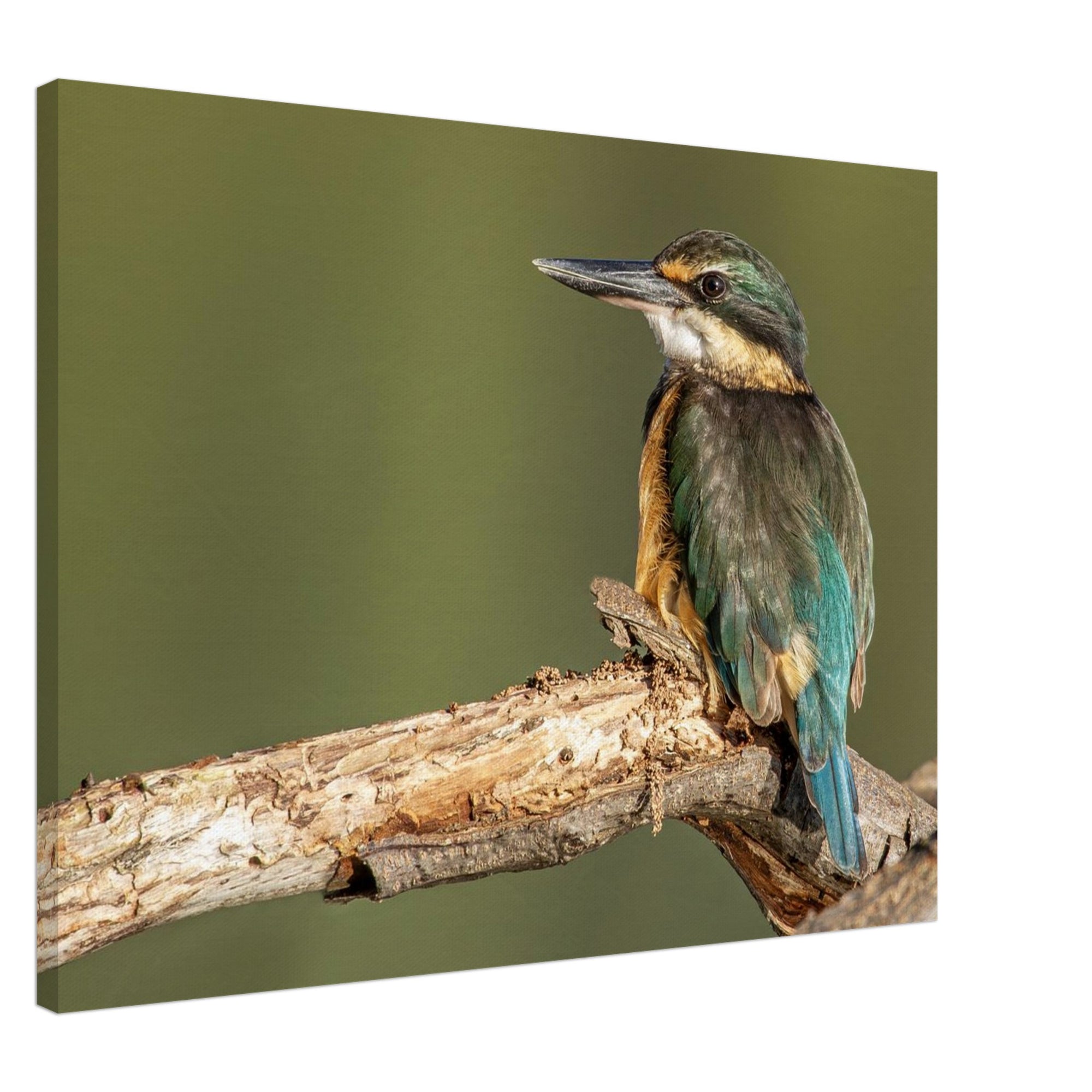 3e880a40-8e26-4f22-b79a-5fc63ff37423