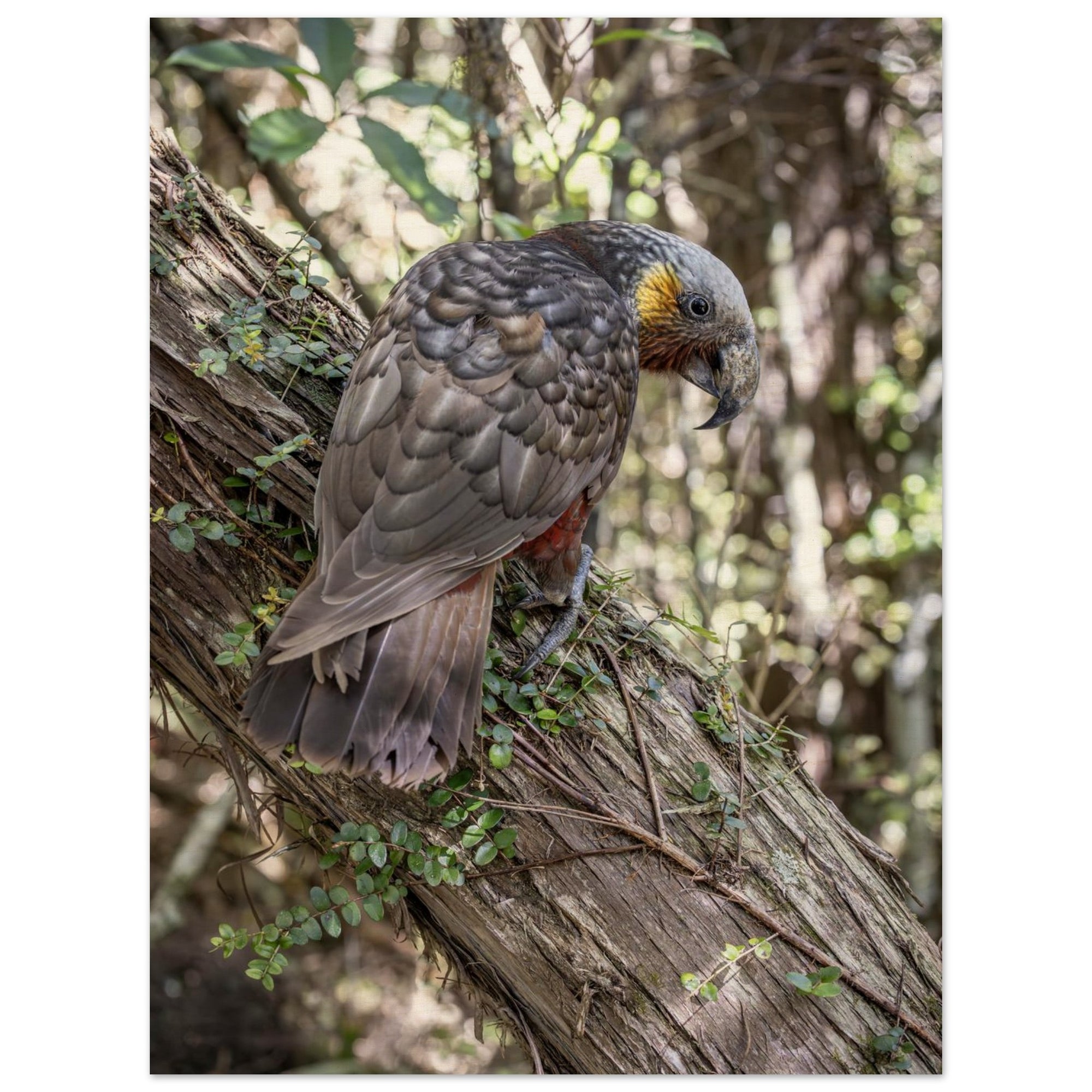 3ebfca4a-ab1c-445a-91ca-4df883ff6d83